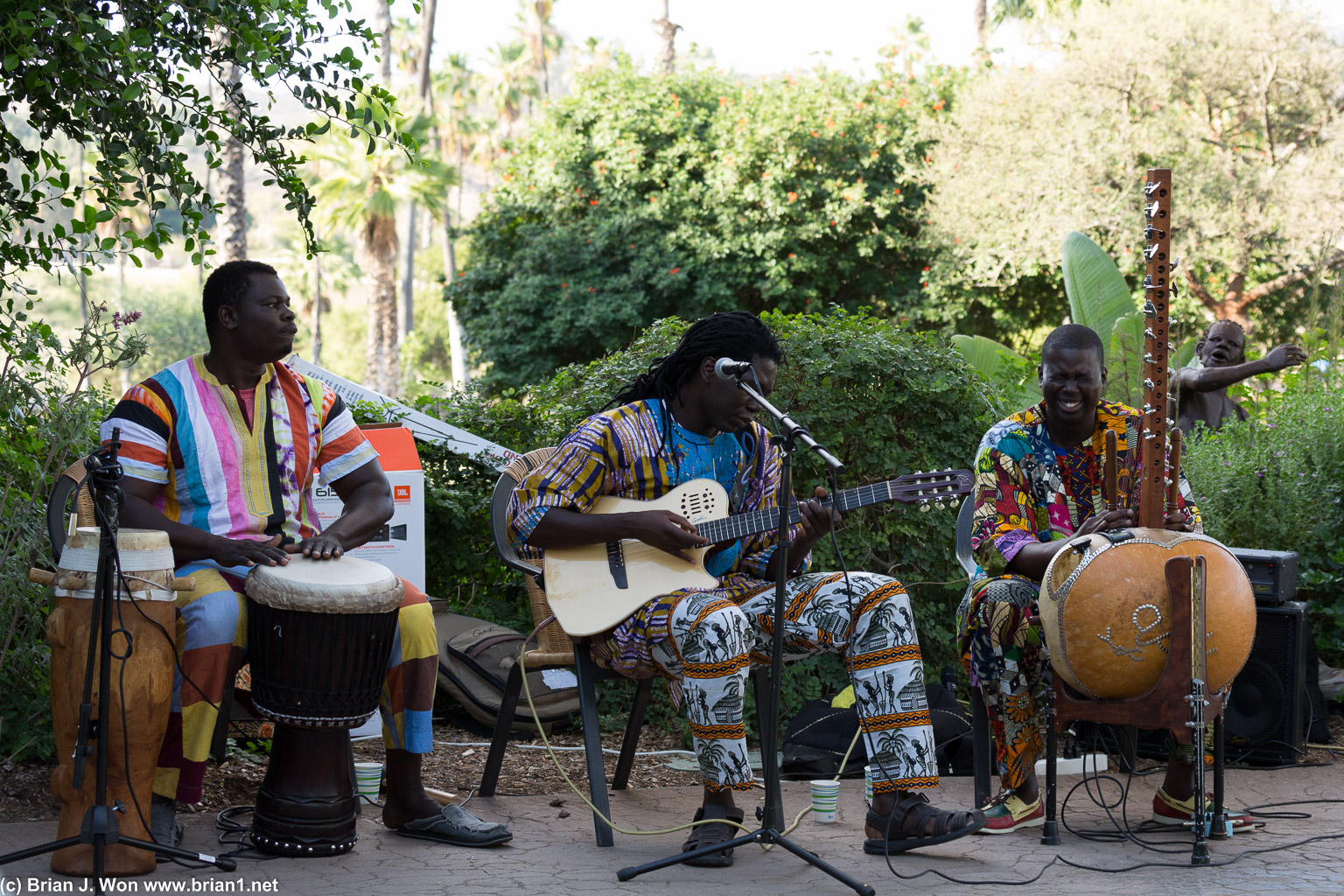 Seneafrica musicians.