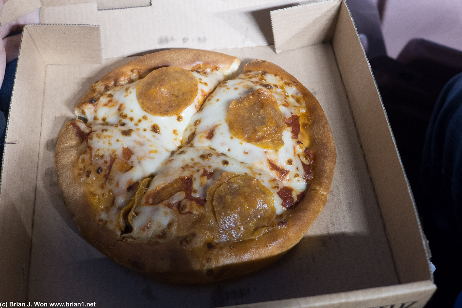 Very sad looking $9 pizza.