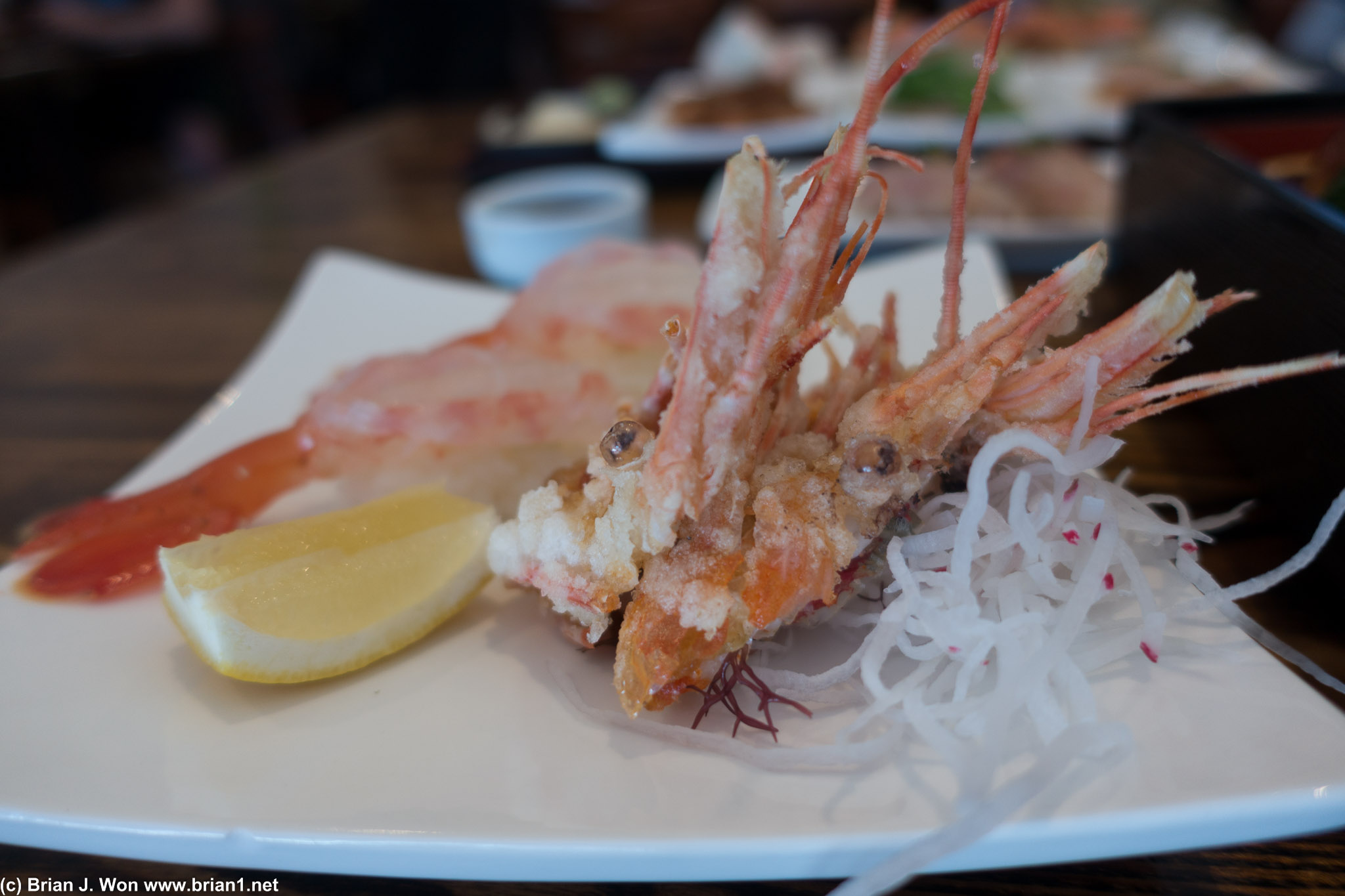 Live sweet shrimp- ama ebi-- was pretty decent. And those deep fried shrimp heads, MMMM.