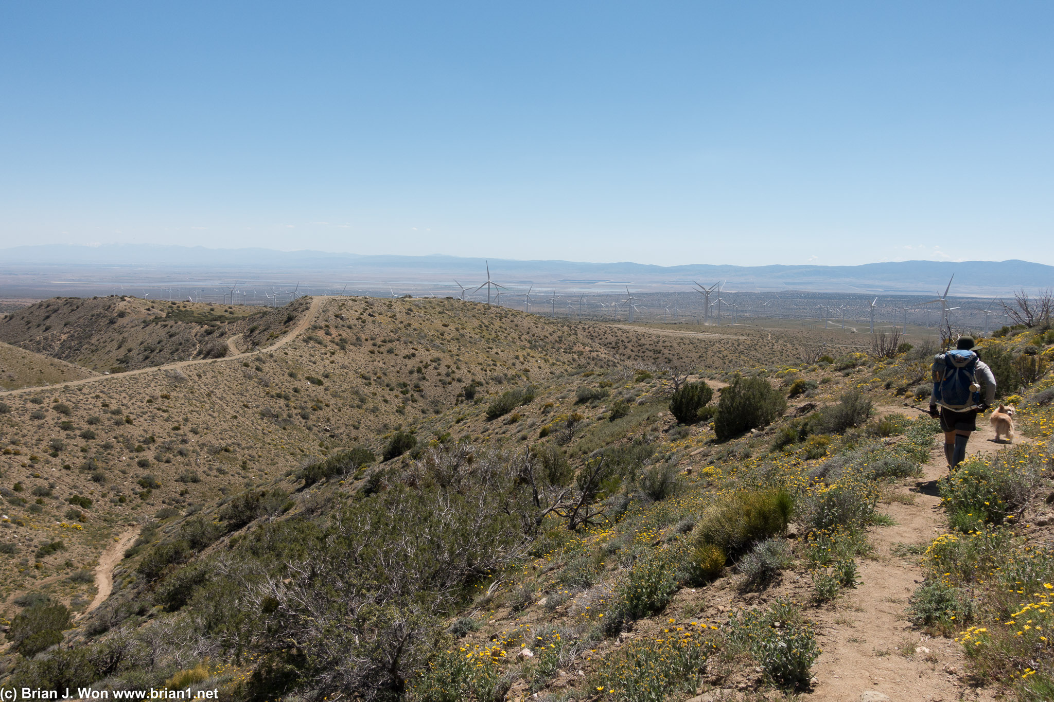 Hiking the PCT, with ATV trails to the left.