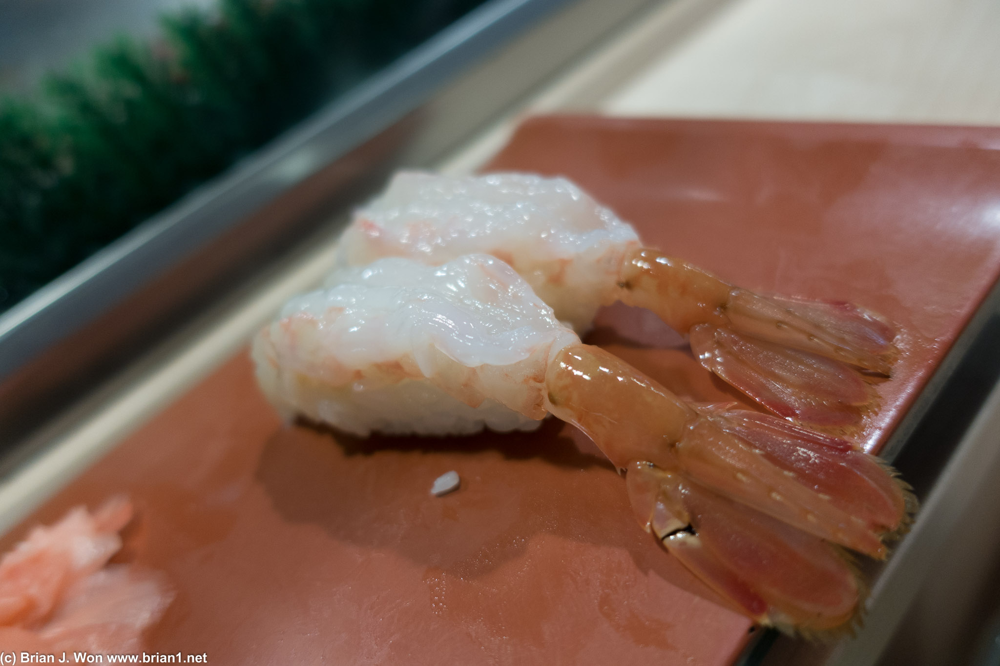 Ama ebi (live sweet shrimp).