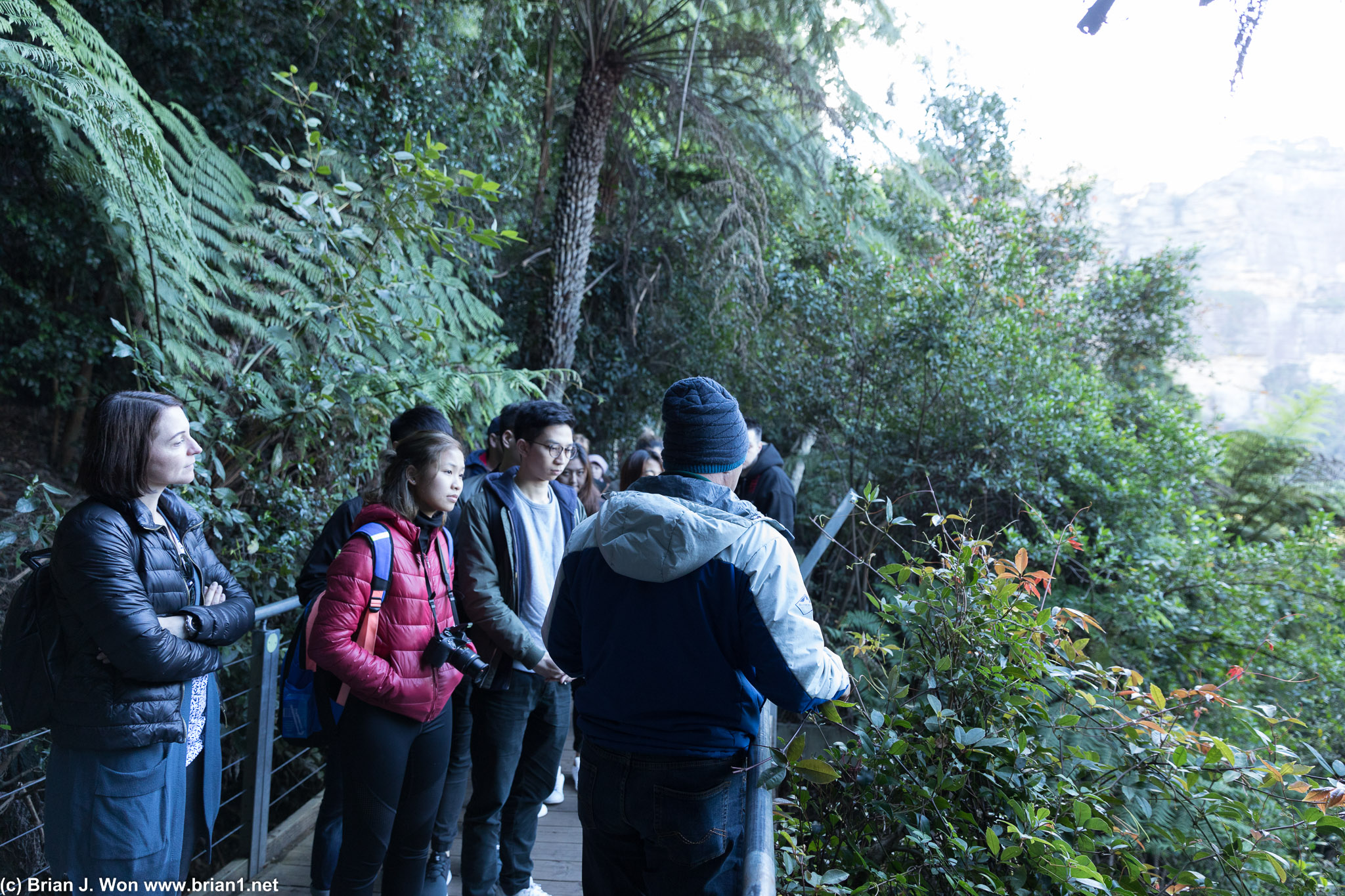 Tour guide explaining the rainforest.