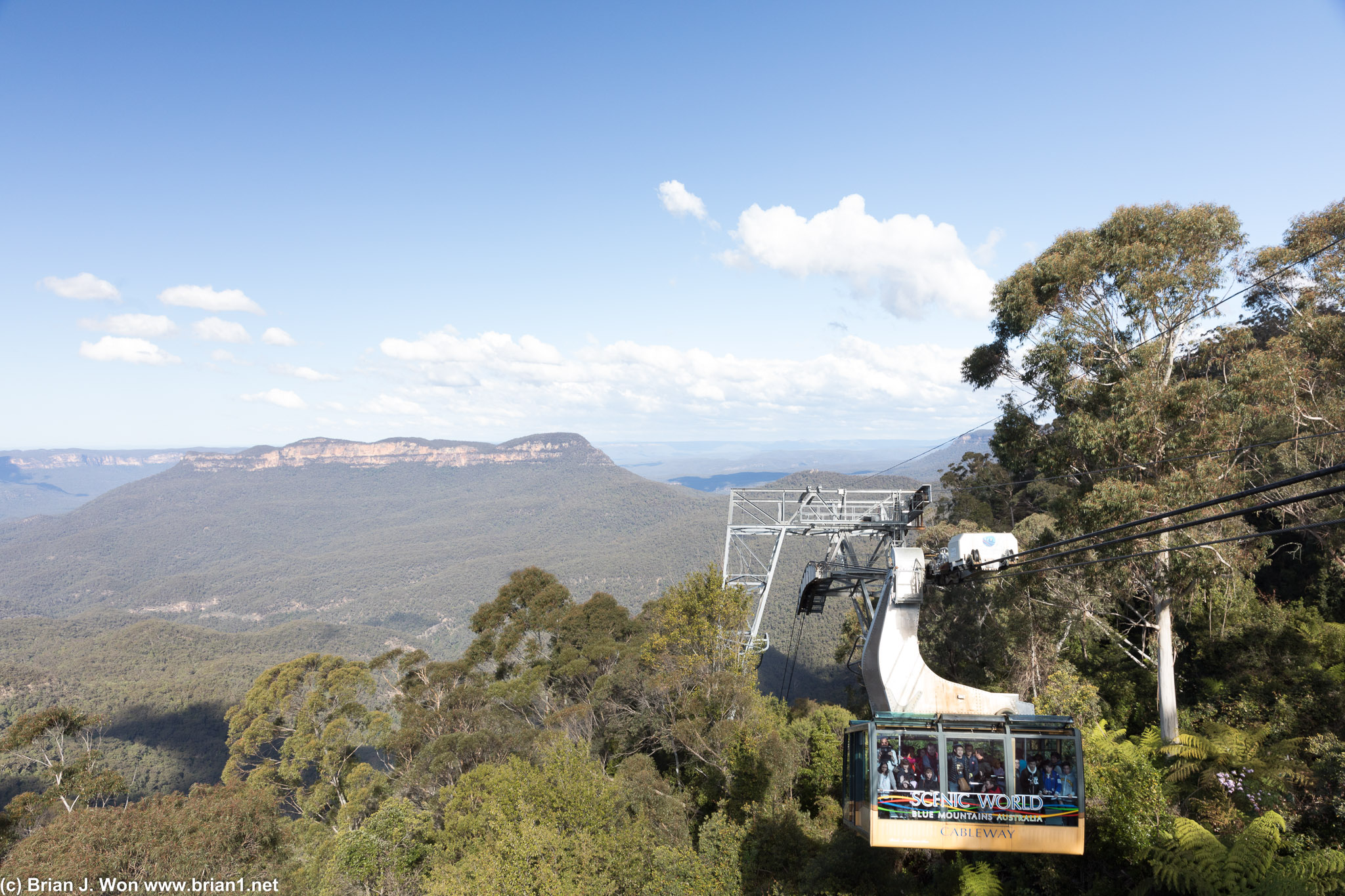 Cableway coming up over the forest.