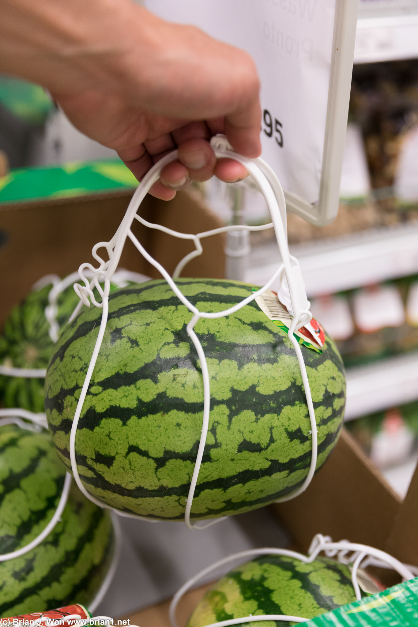 Handle for your mini watermelon?