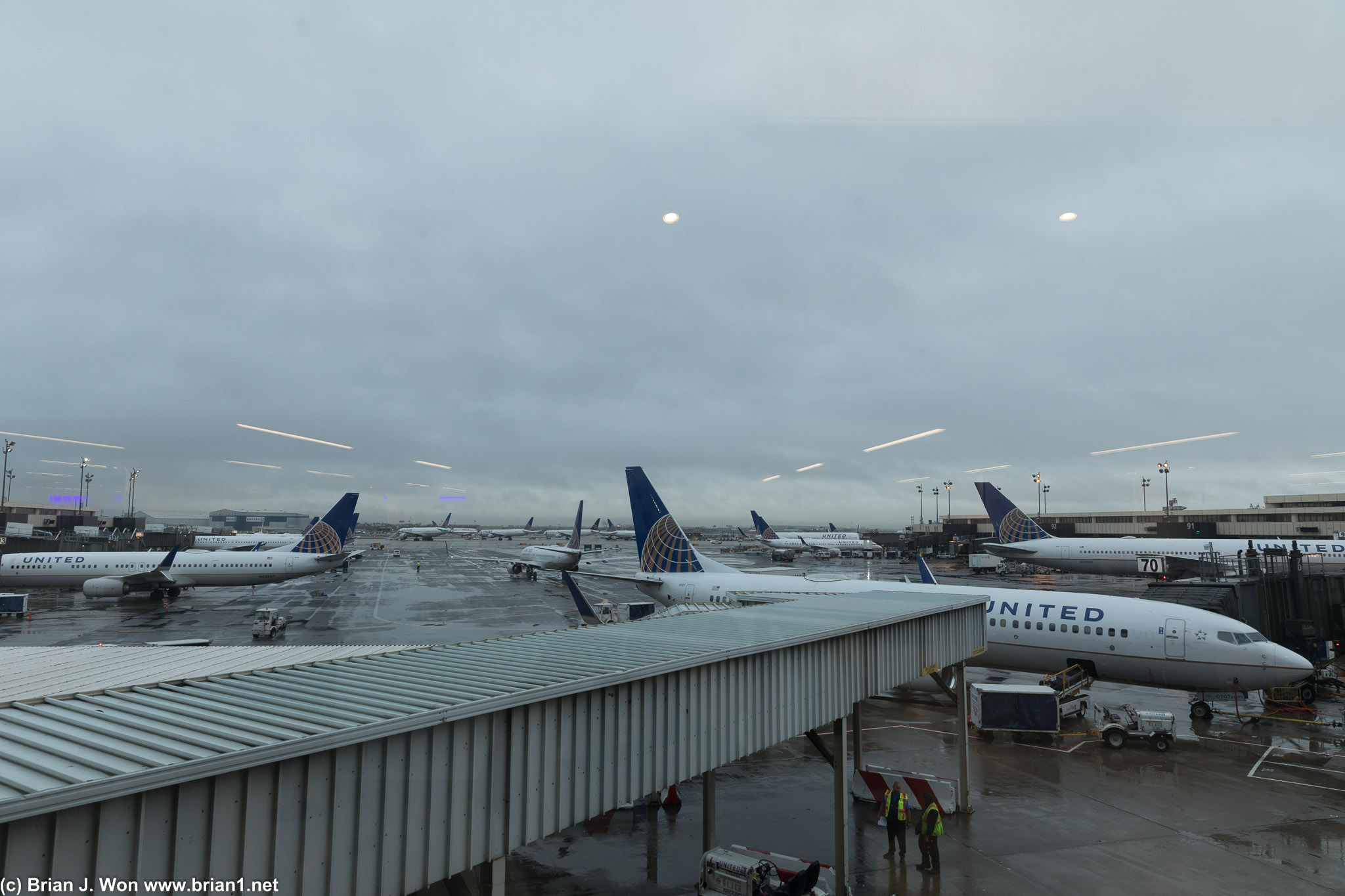 At least a dozen United ariplanes, mostly Boeing 737's.