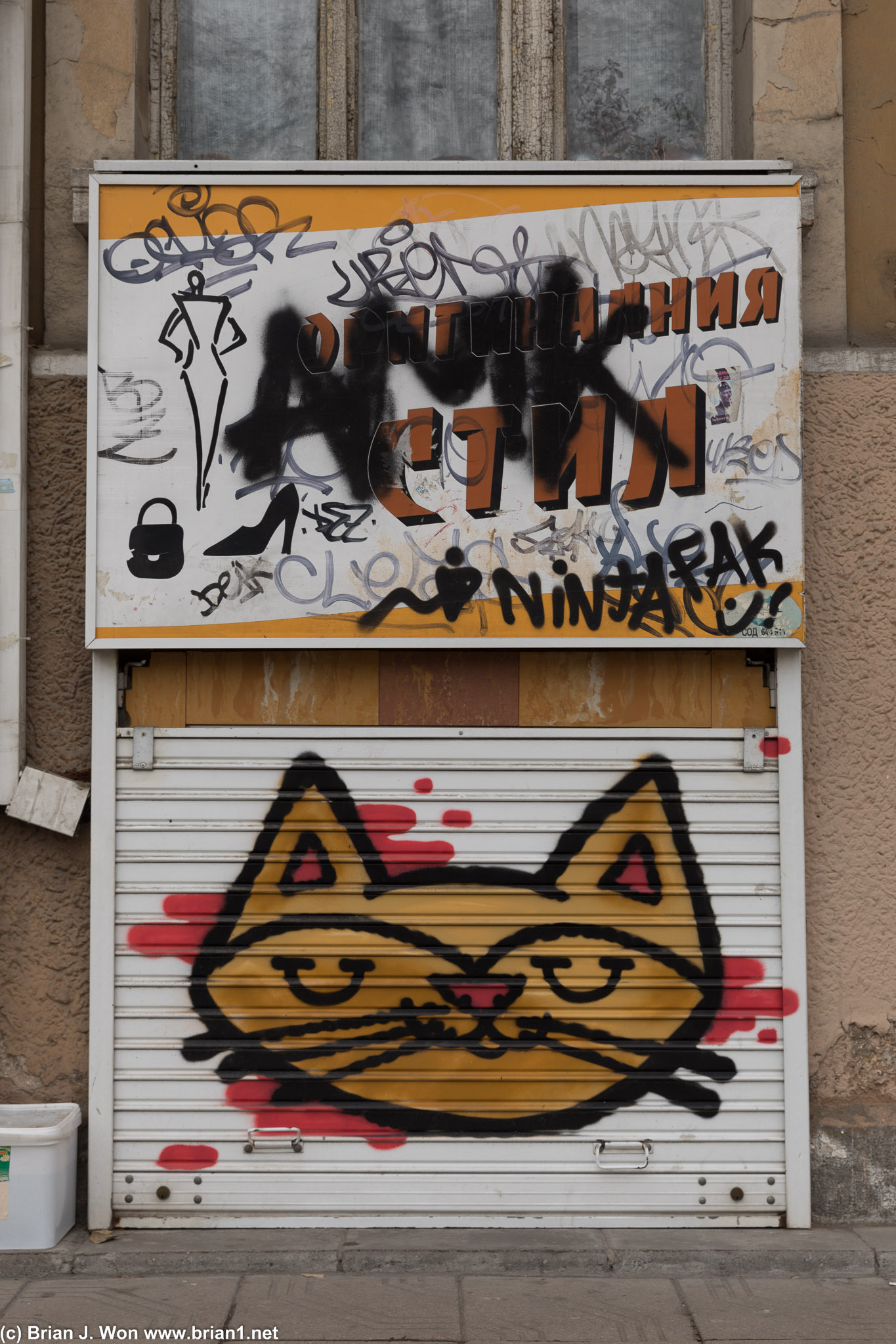 Random cat graffiti.
