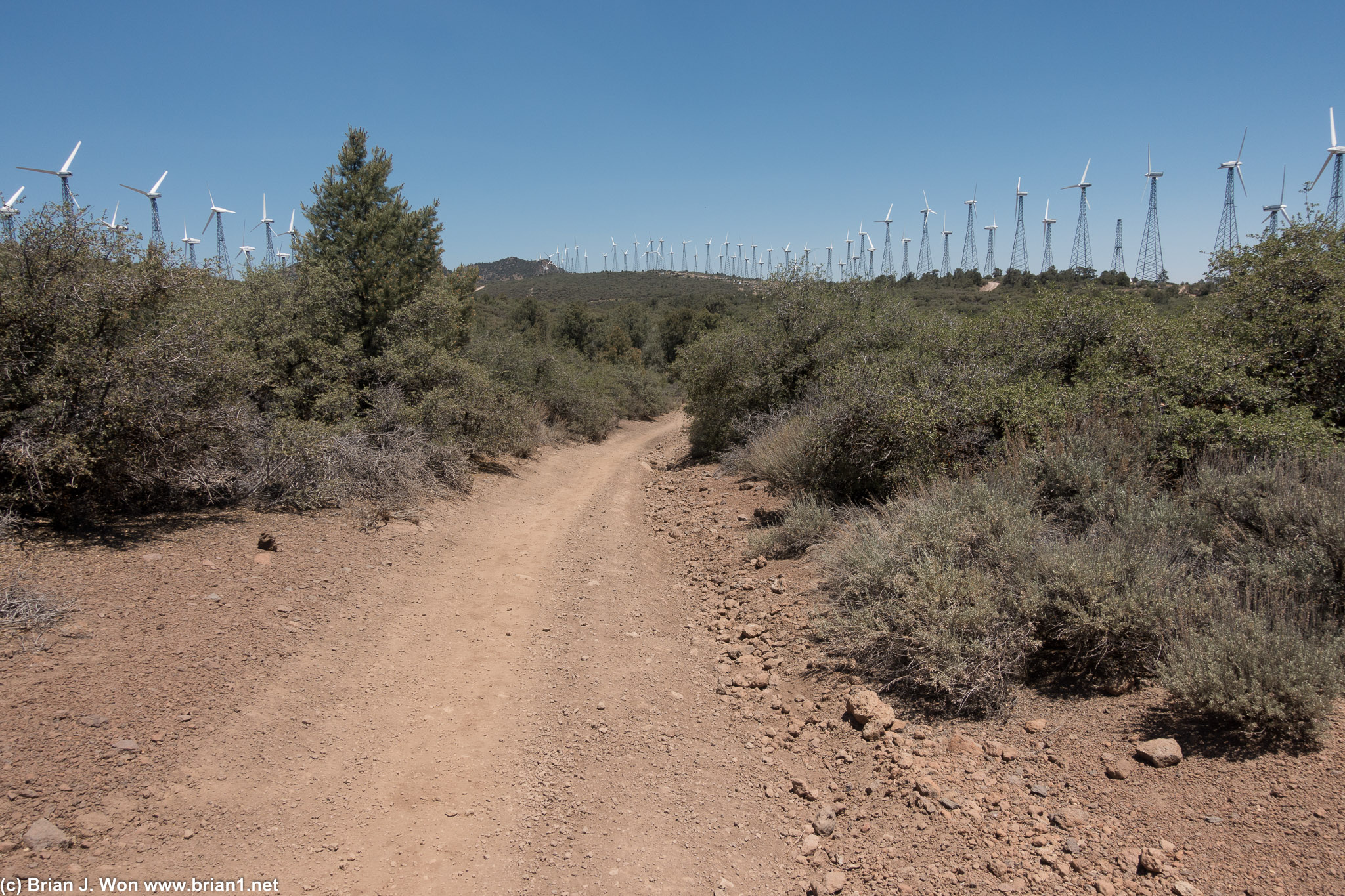 More windmills, just shy of mile 13 (PCT Mile 579 or so).