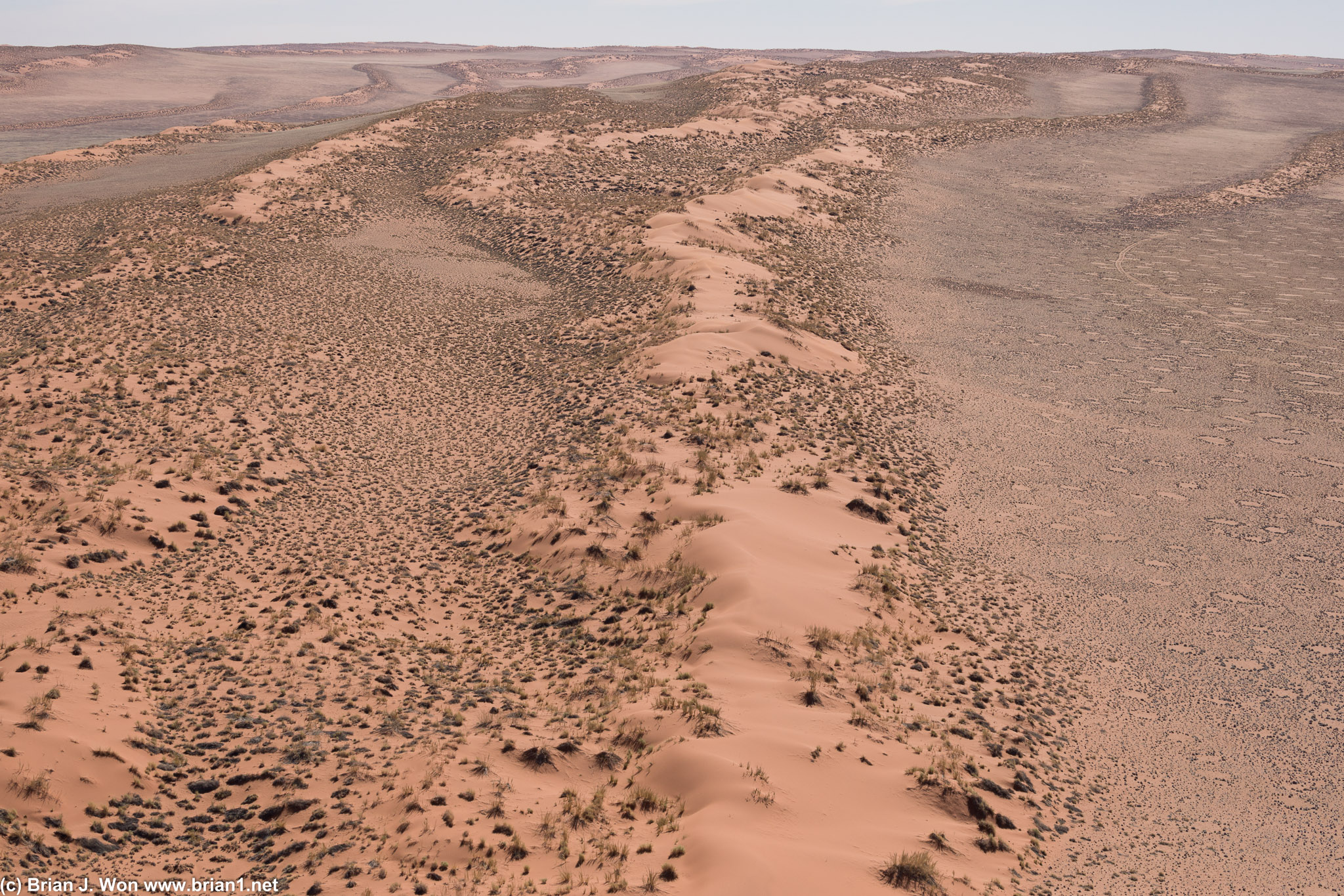 Shifting from sand dunes to fairy circles.