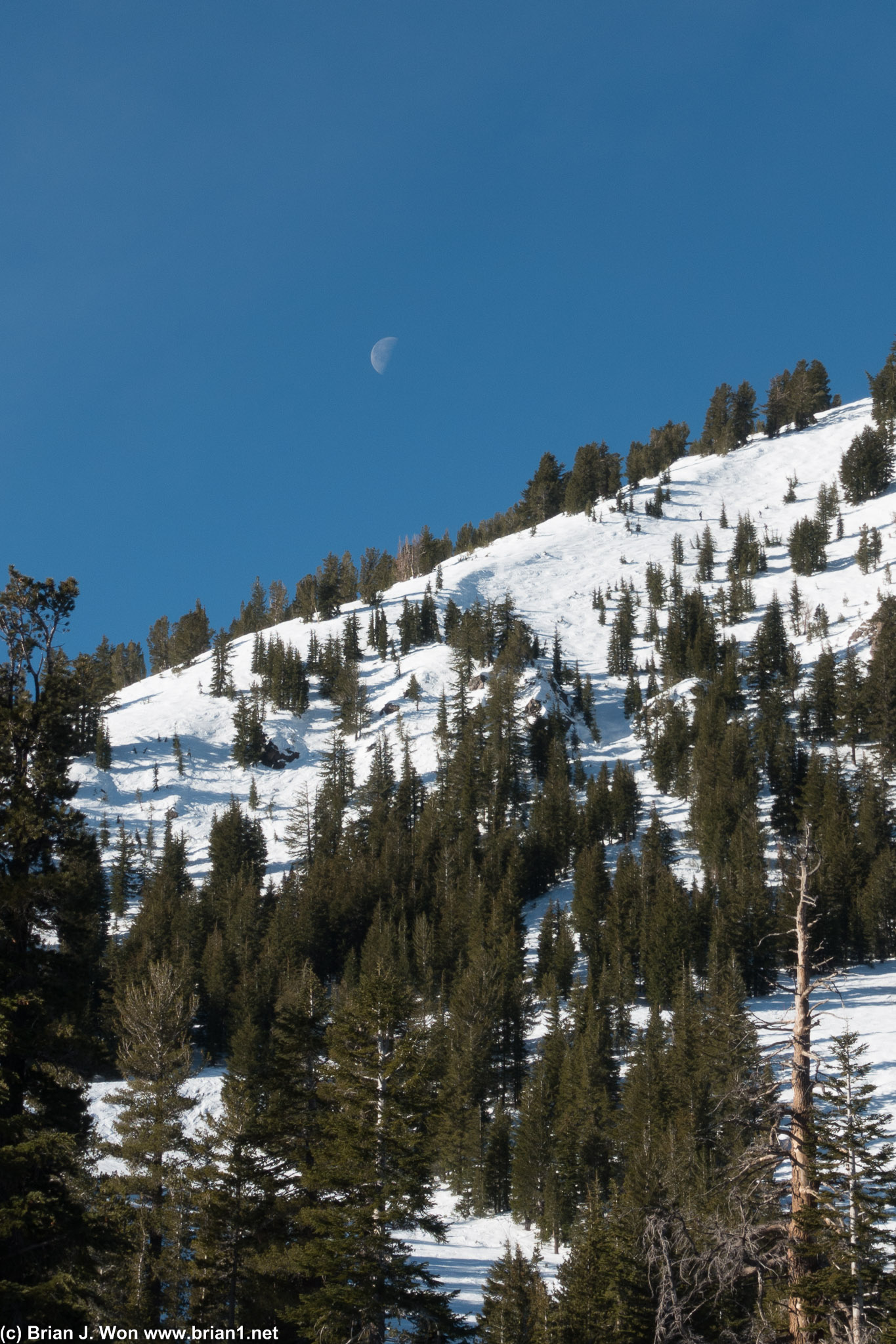 Moonrise over Lincoln Mountain.
