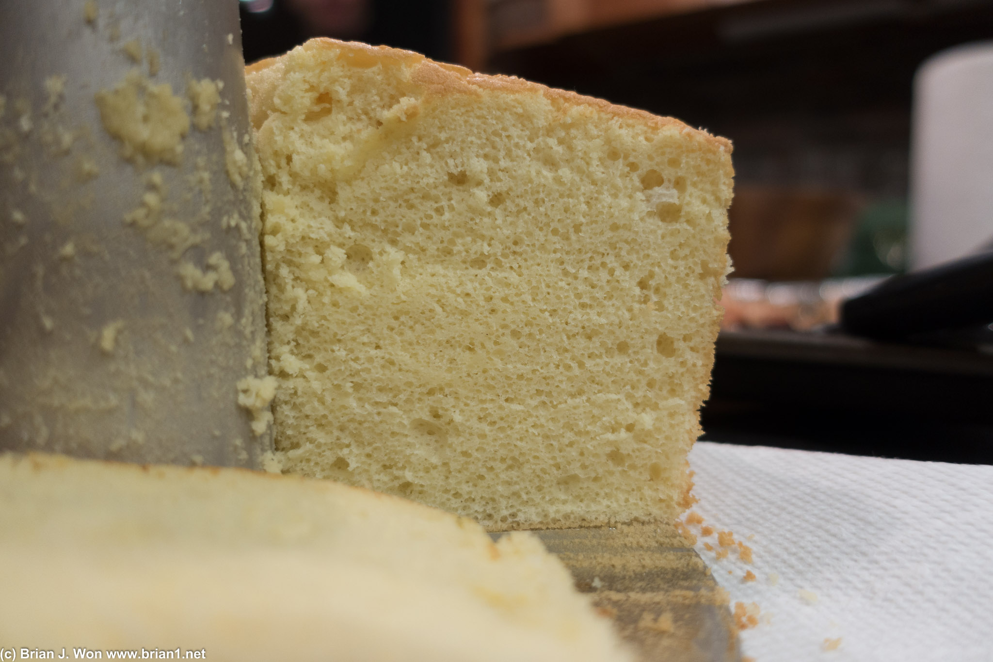 Sponge cake cross-section.