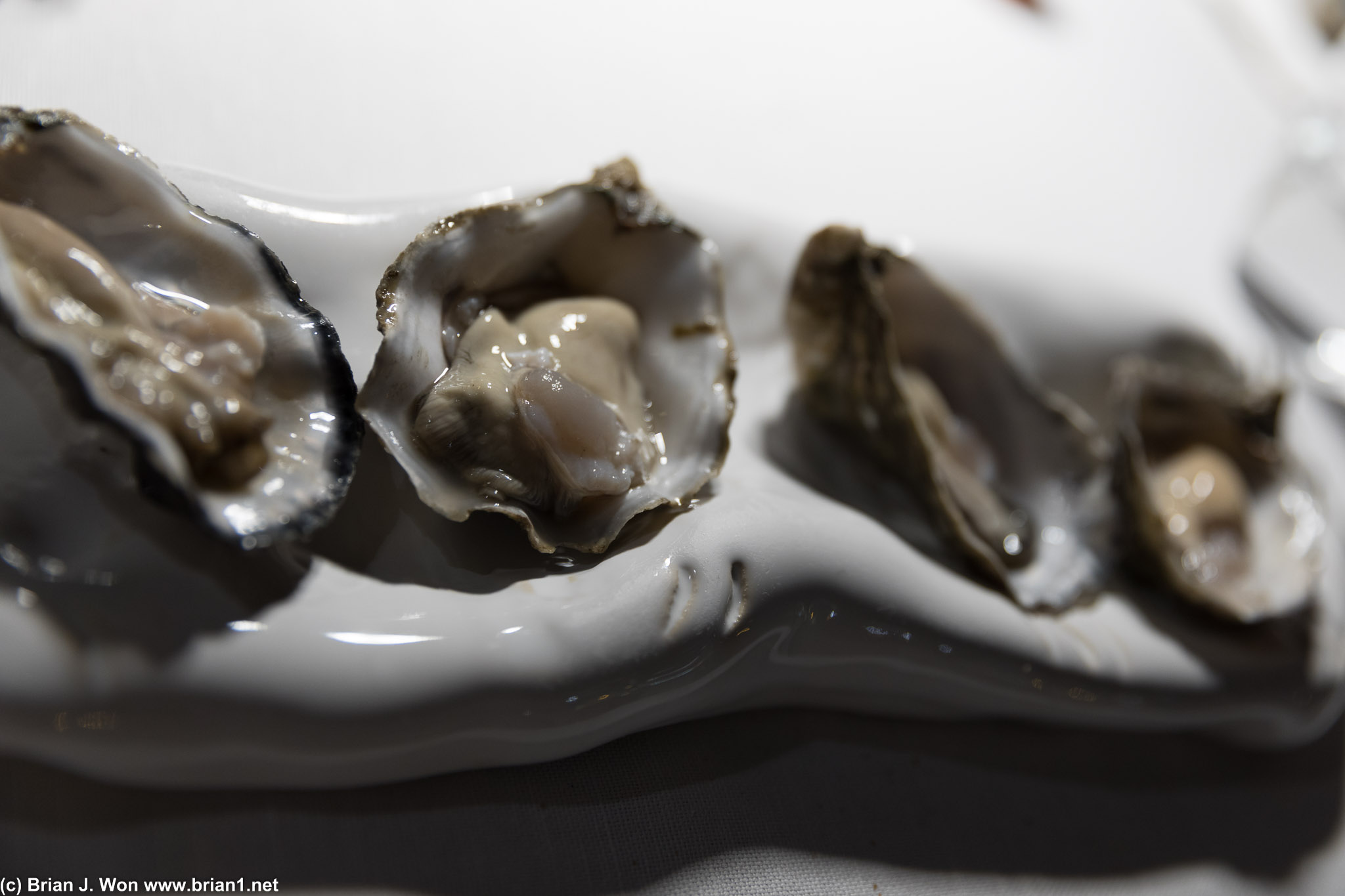 Raw oysters, La Perla del Delta, San Michele, Fine de Bretagne de Prat-Ar-Coum, Majestic. Meaty, meaty and more ocean, more briney, meaty but more balance in flavor.