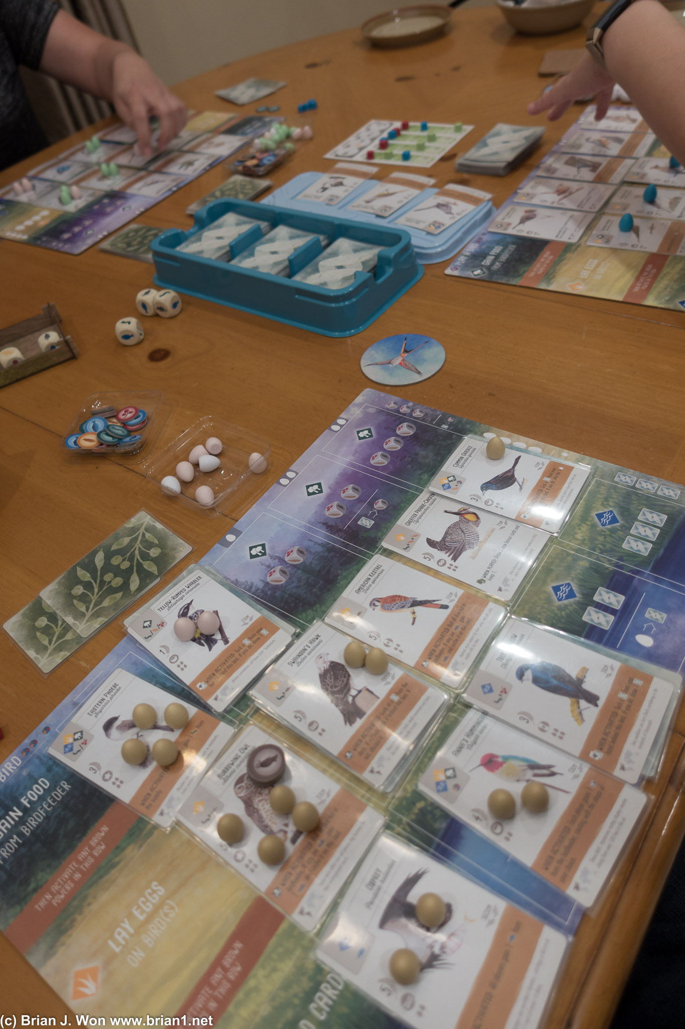 After many plays, Wingspan is still a very pretty game.