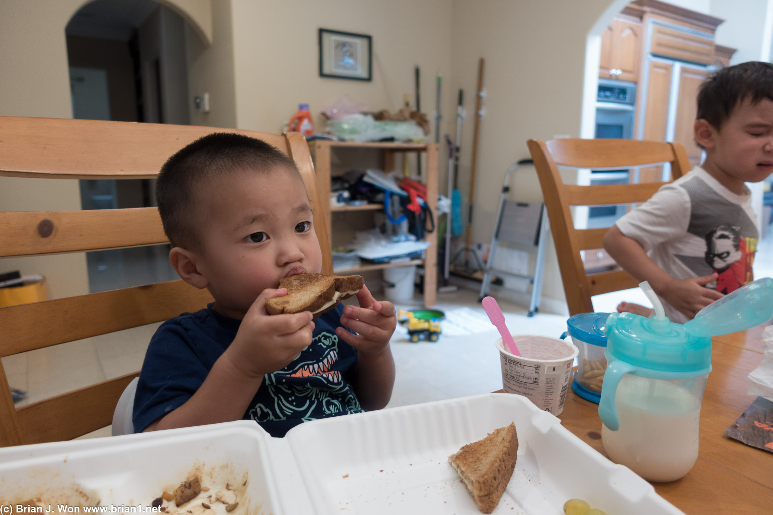 Lucas nom's away on his grilled cheese.