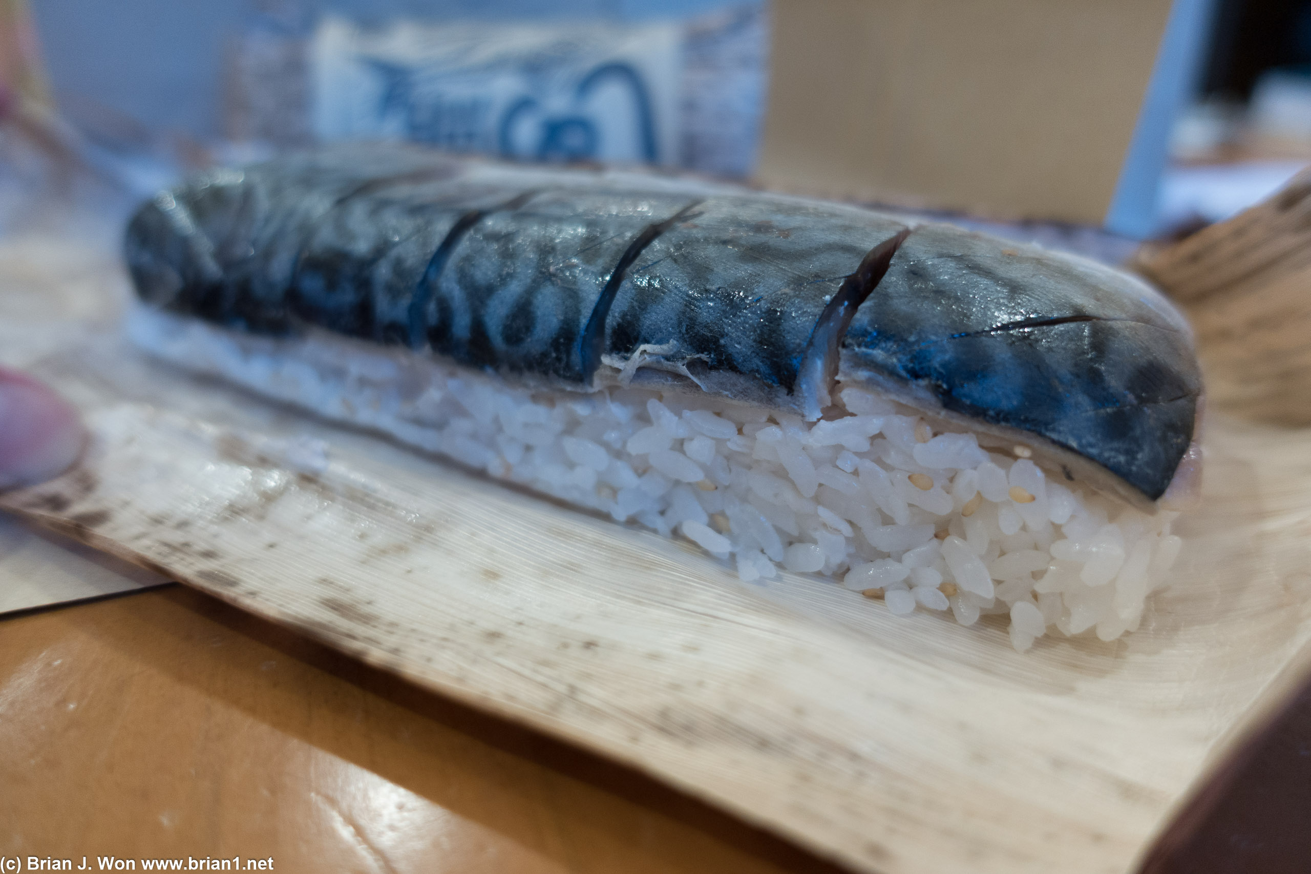 Hello pickled mackerel log.