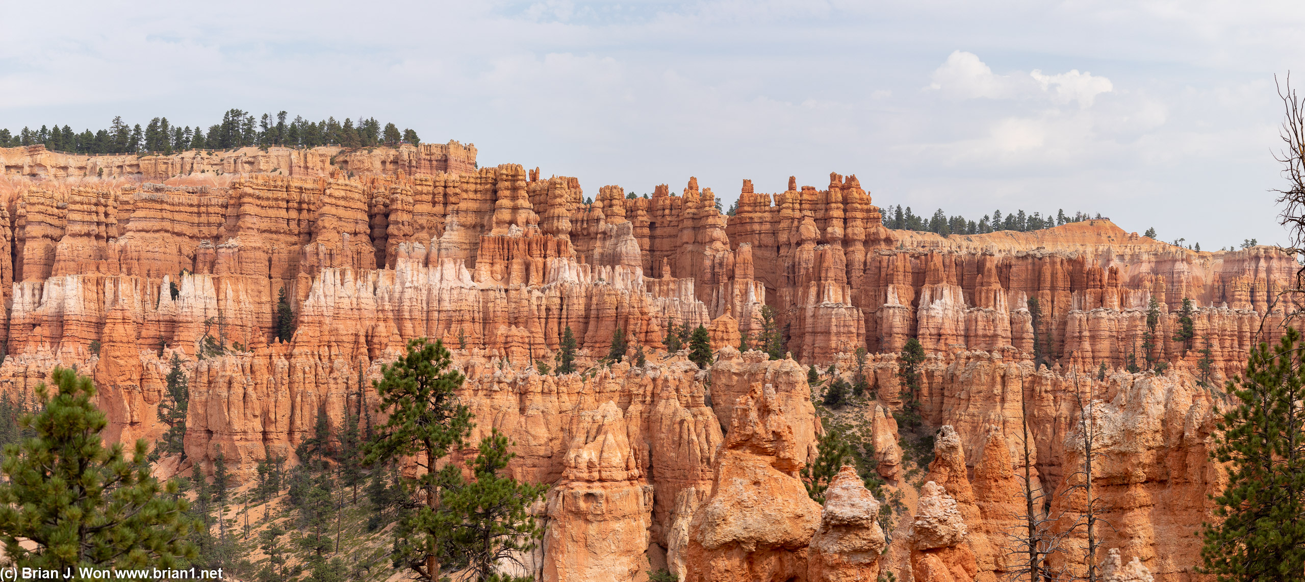 Literally. An entire wall of hoodoos.