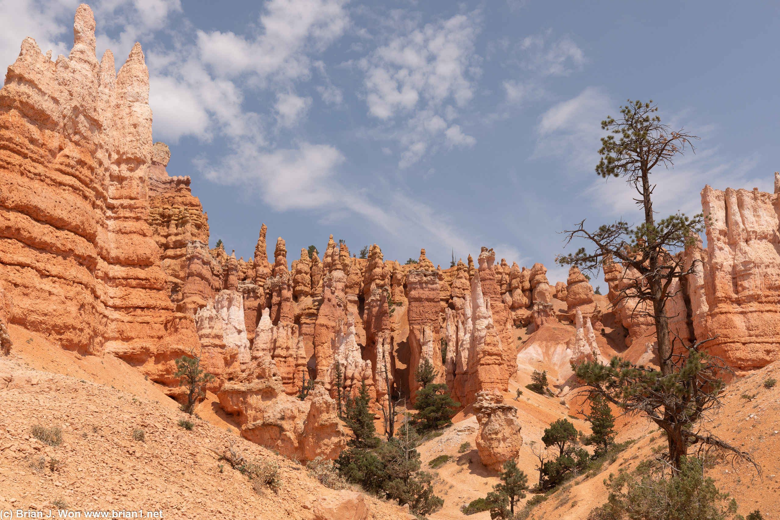 Bryce Canyon Ampitheater, you do not mess around.