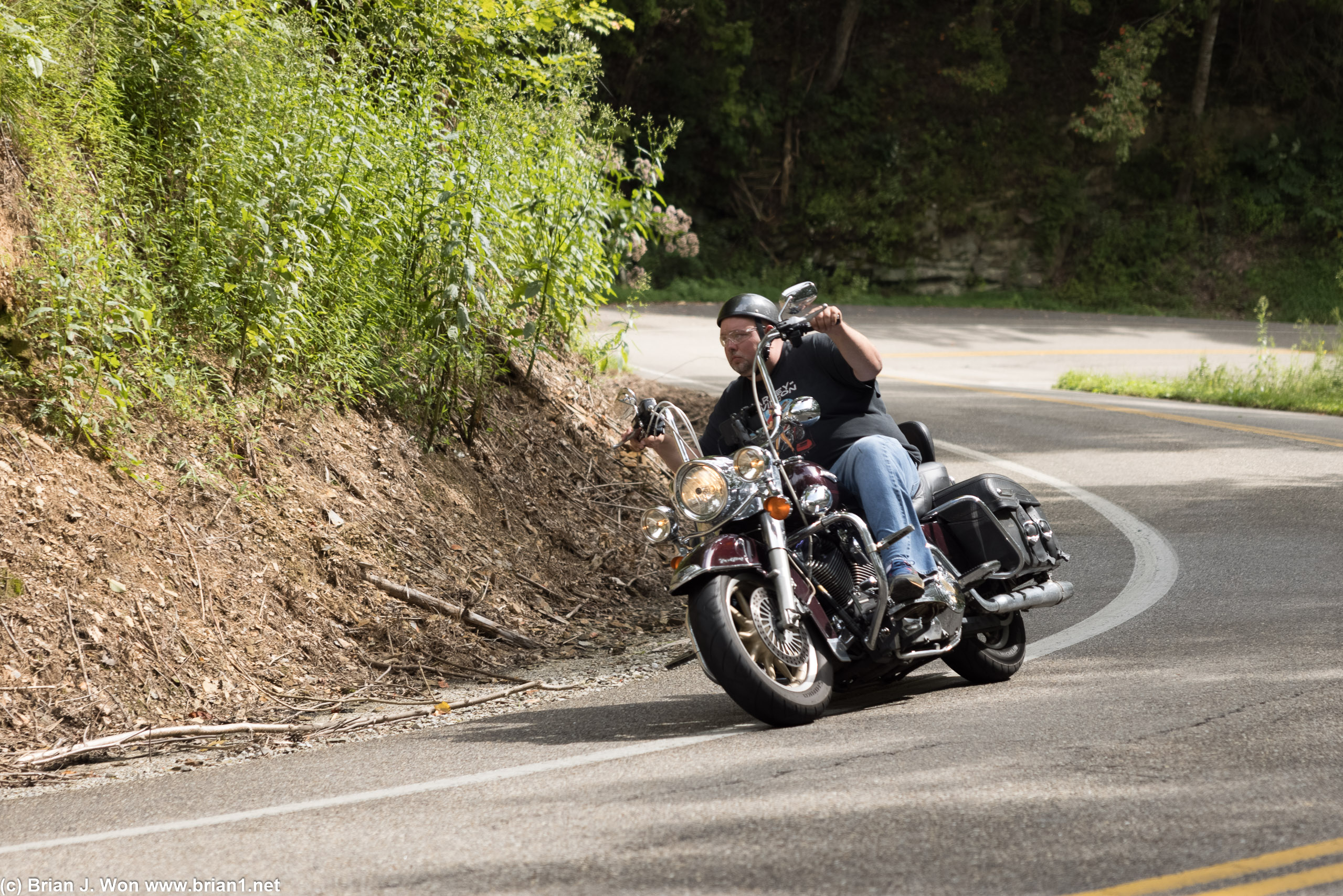 Harleys like the Tail of the Dragon, too.