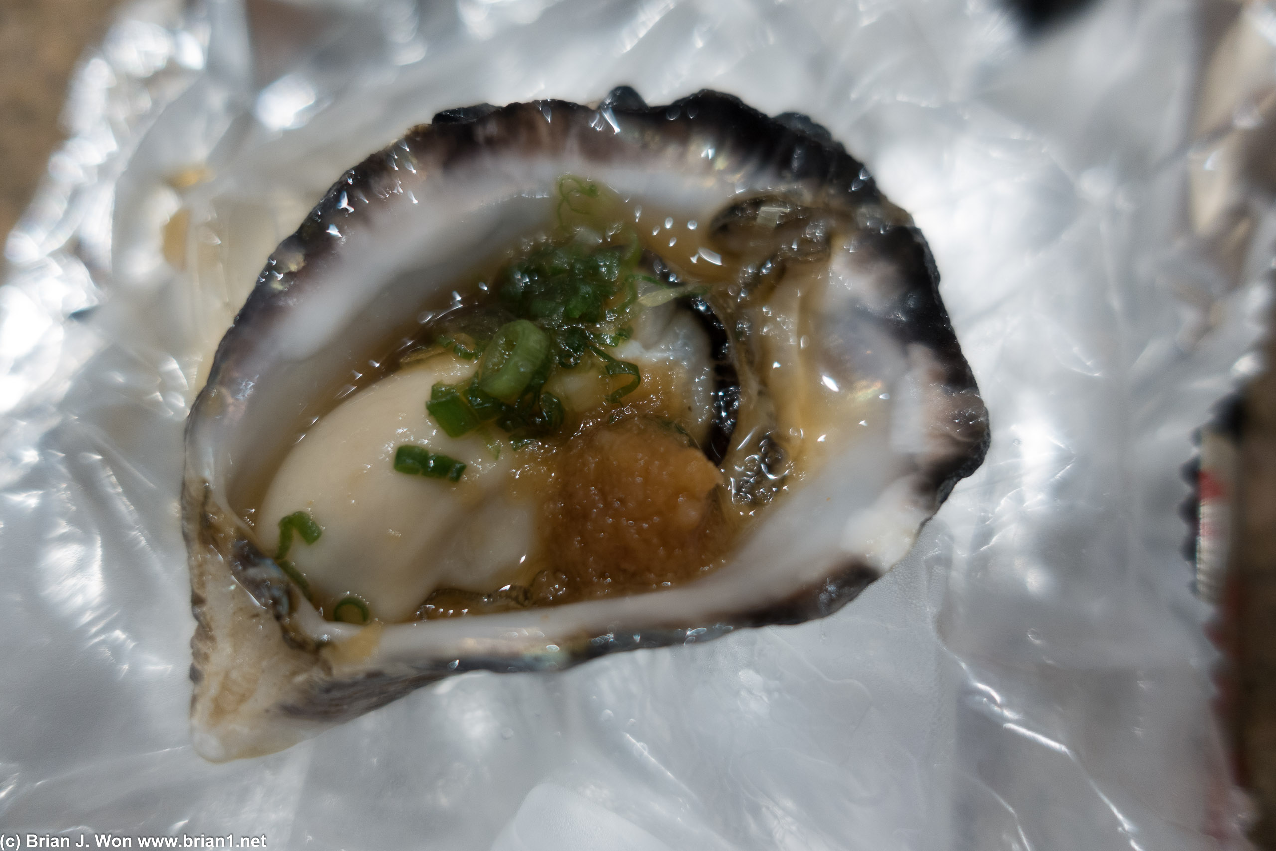 Raw oyster.