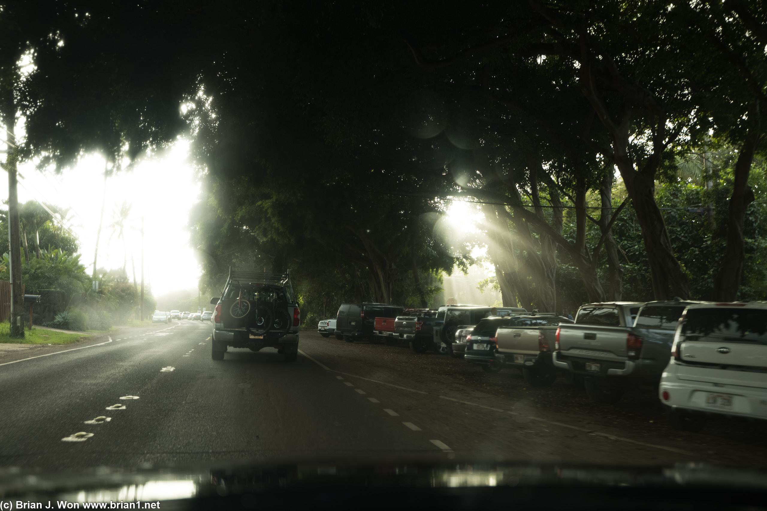 Sun rays driving up <br />King Kamehameha Highway.