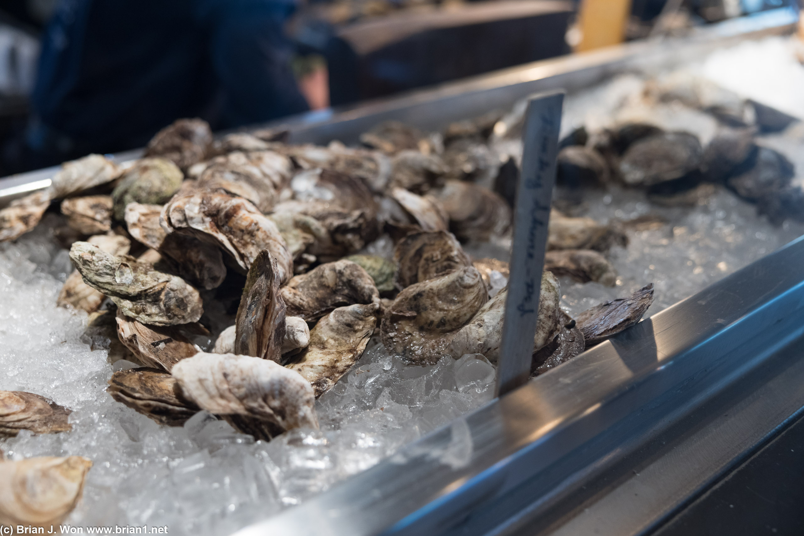 Visiting the oyster bar.