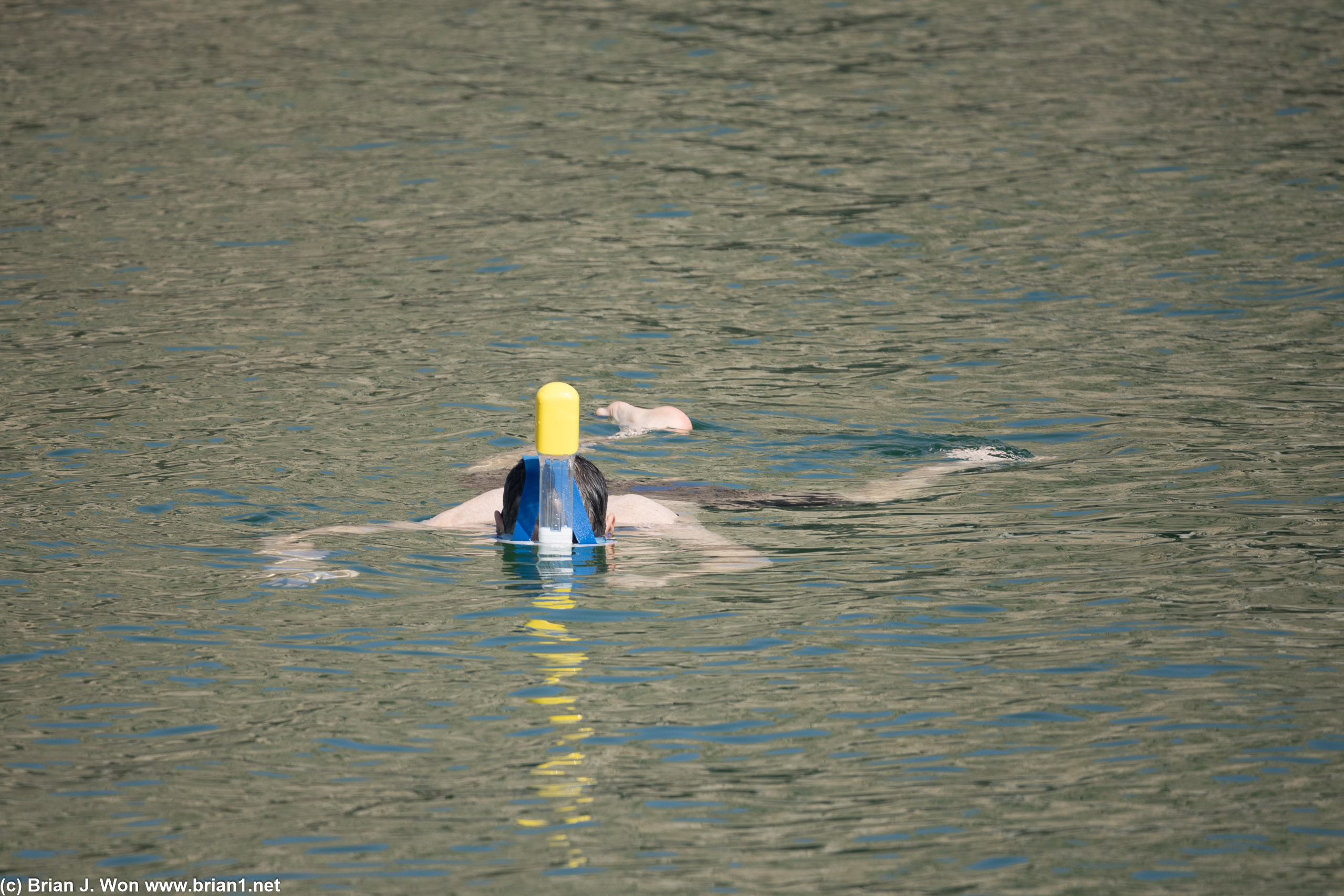Rick snorkeling. Water was super buoyant.