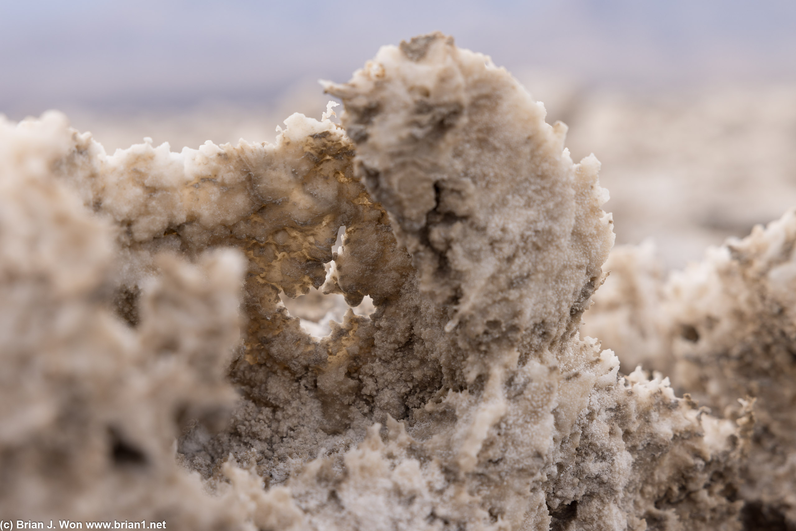 Salt formations.