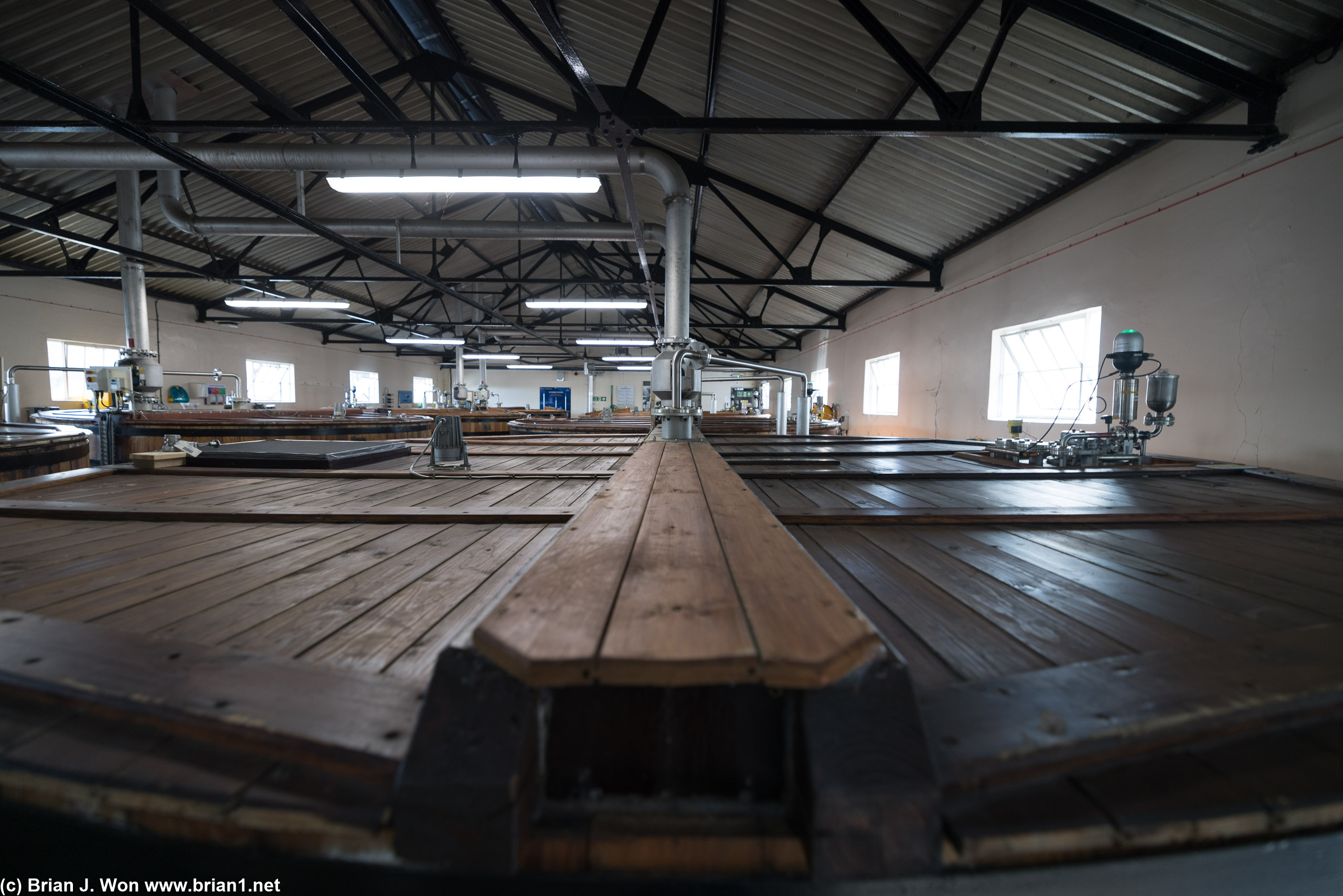 Glen Ord uses wooden tanks for their mash; the wood does not impart any flavor at this stage.