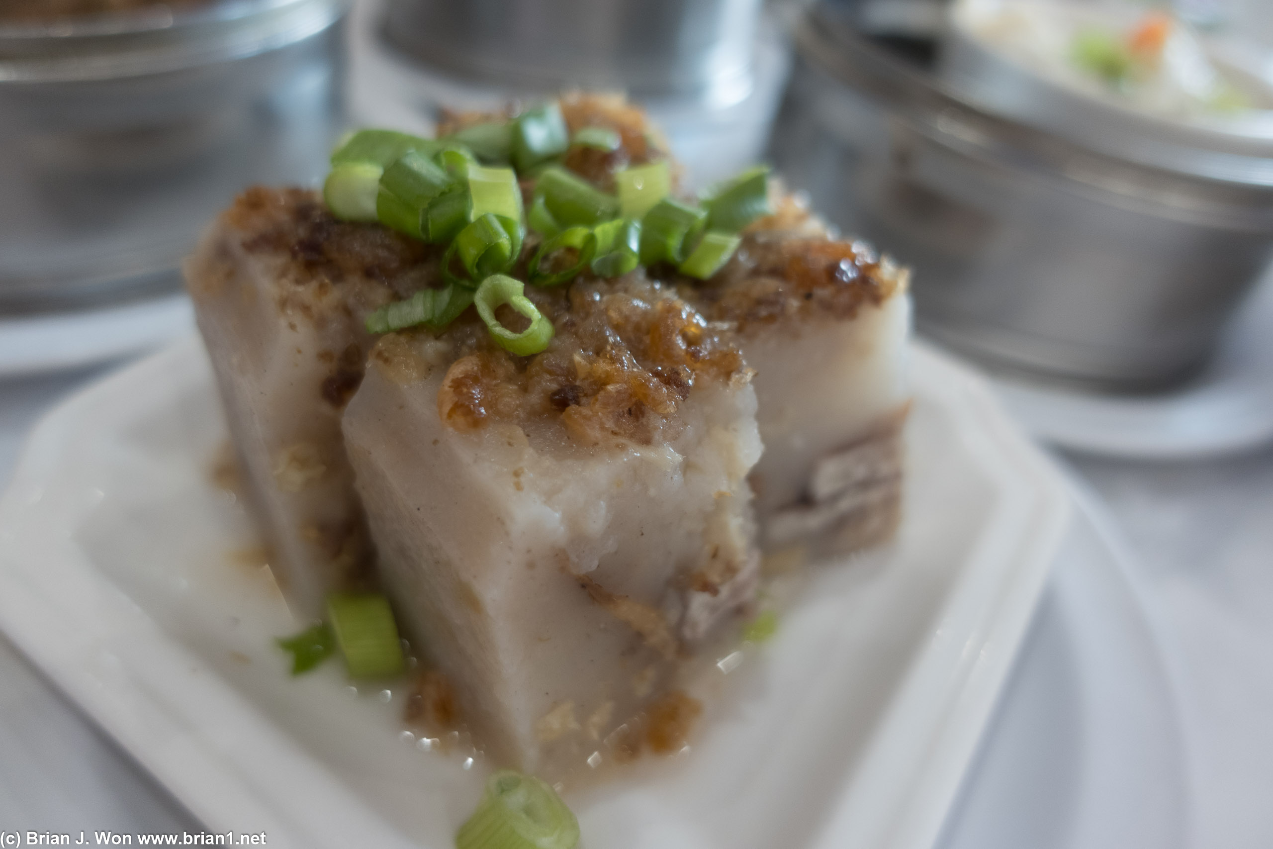 Lo bac guo (turnip cake) was old school thick and steamed, and kind of plain.