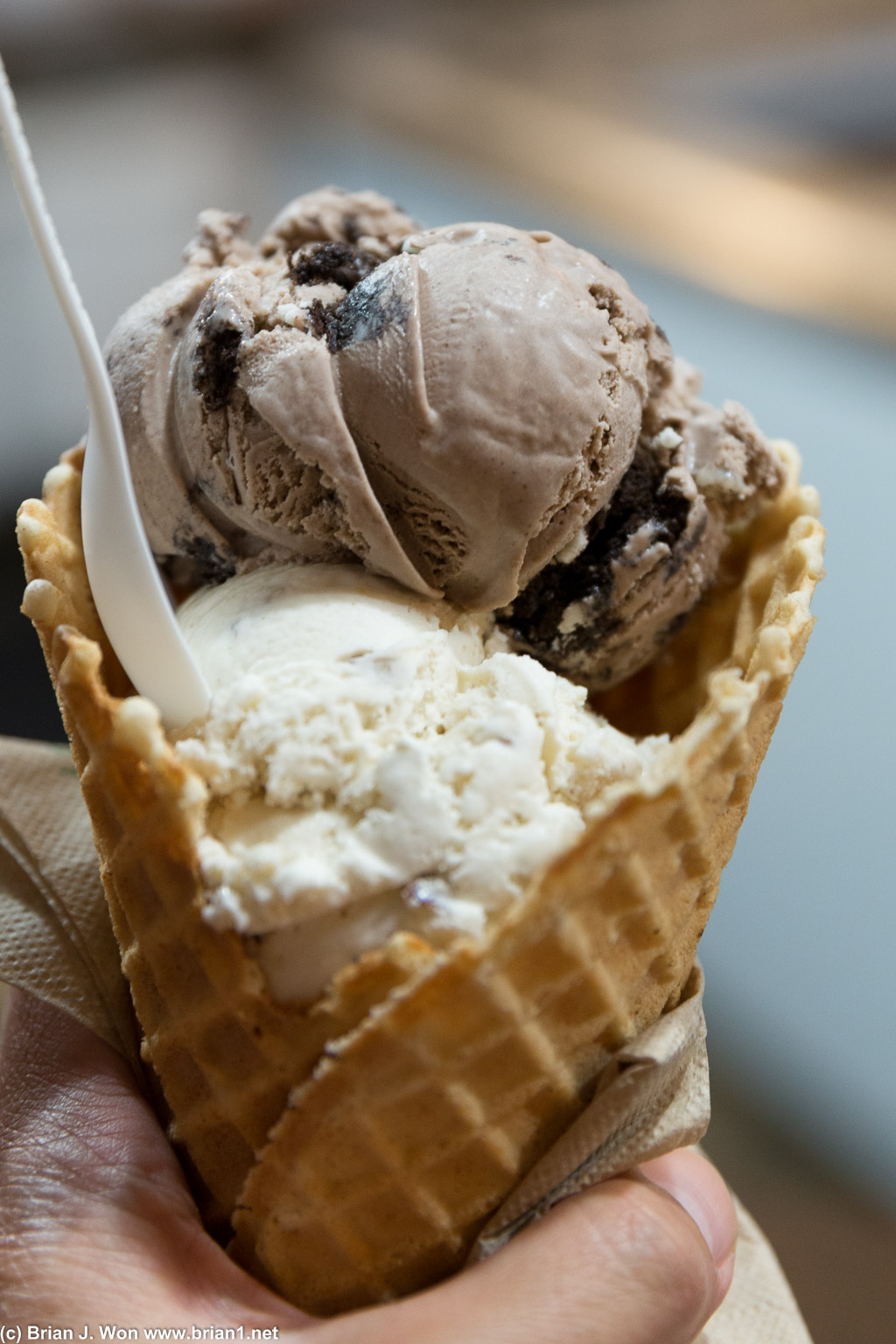 Chocolate oreo cookie and butter pecan in a waffle cone. Very good, not as creamy as some others, but still superb.