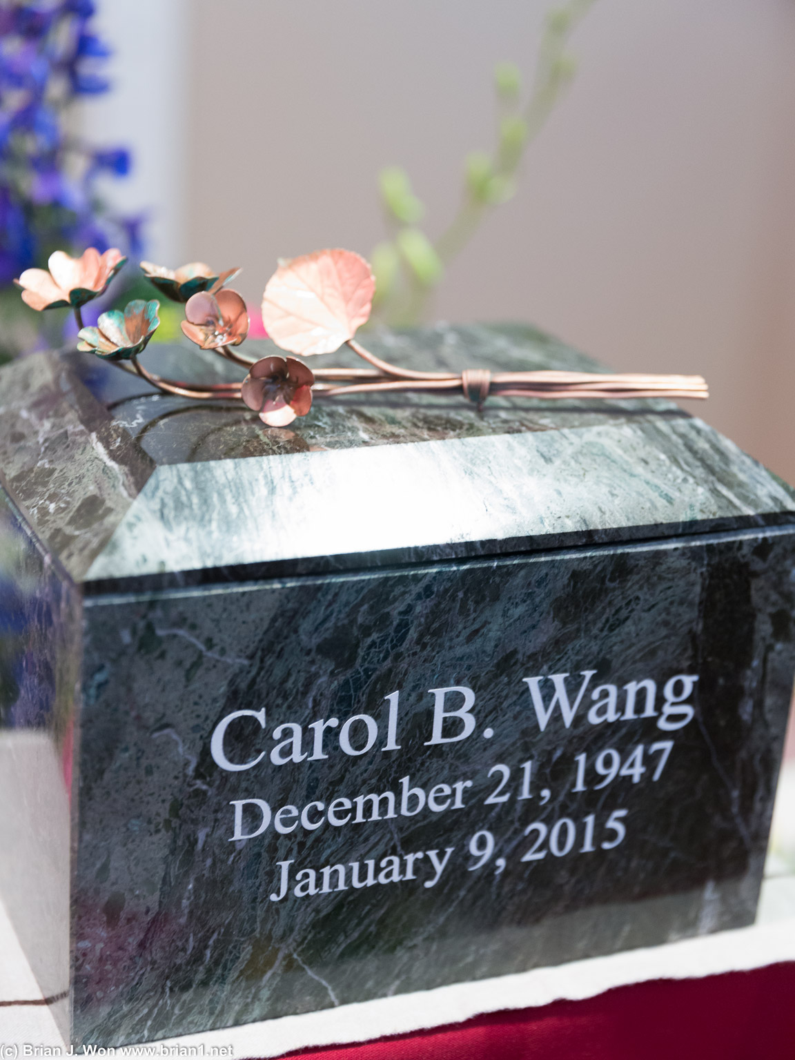 Carol B. Wang, December 21, 1947 - January 9, 2015.