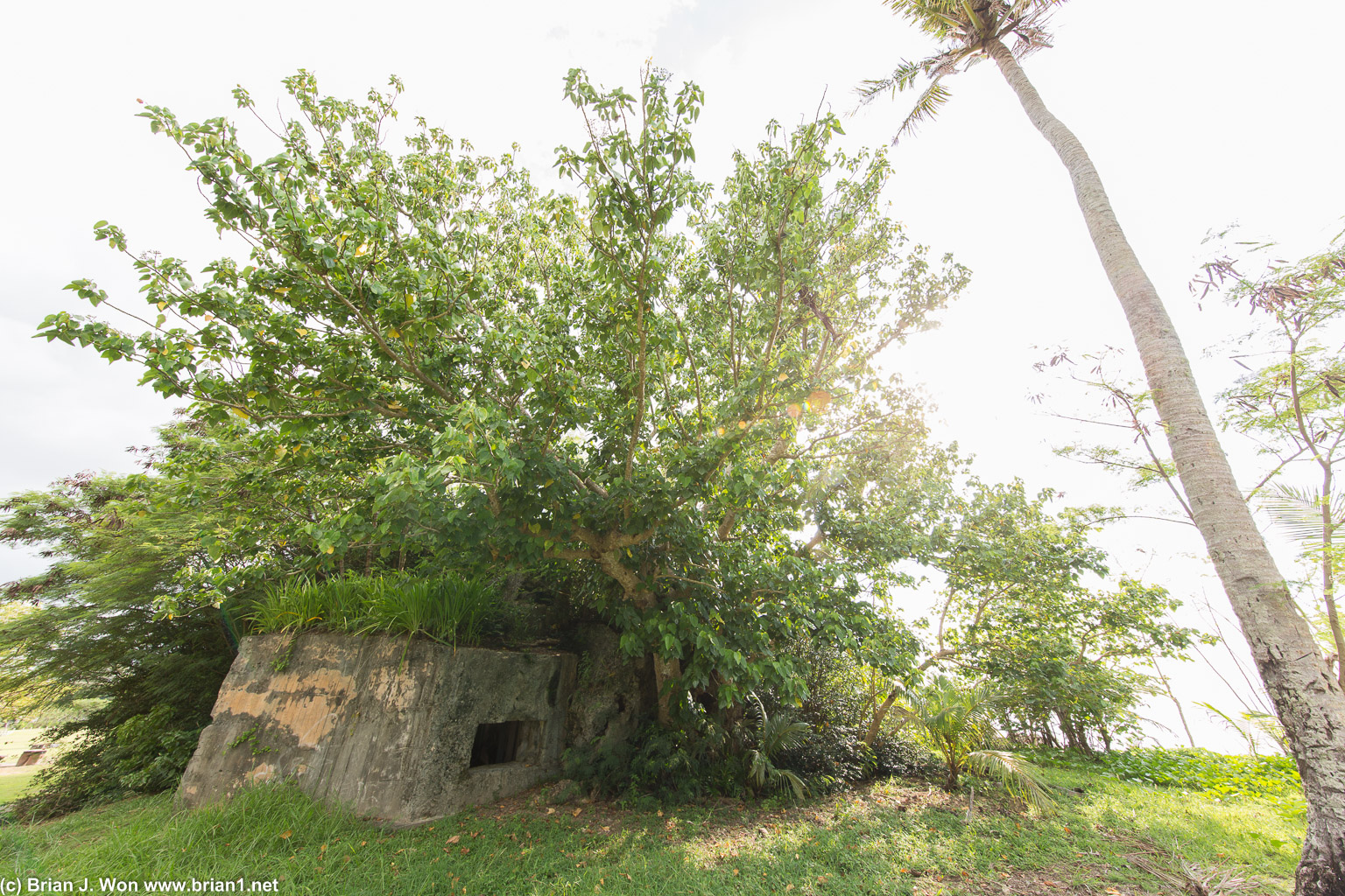 Hidden pillbox, eventually taken from the rear during WW2.