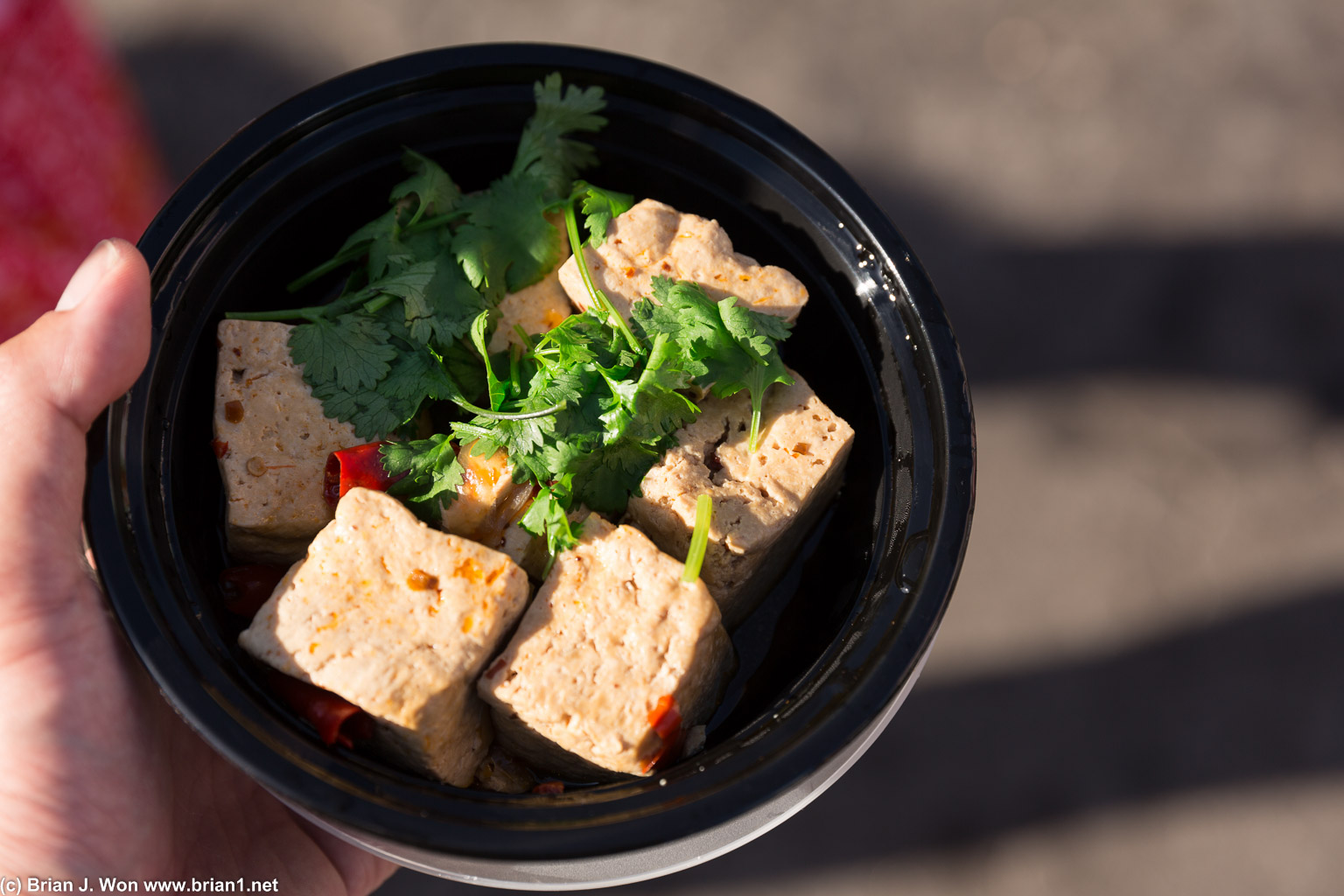 Delicious stinky tofu, a bit spicy, from Green Cube Tofu. Took 20 minutes to boil!