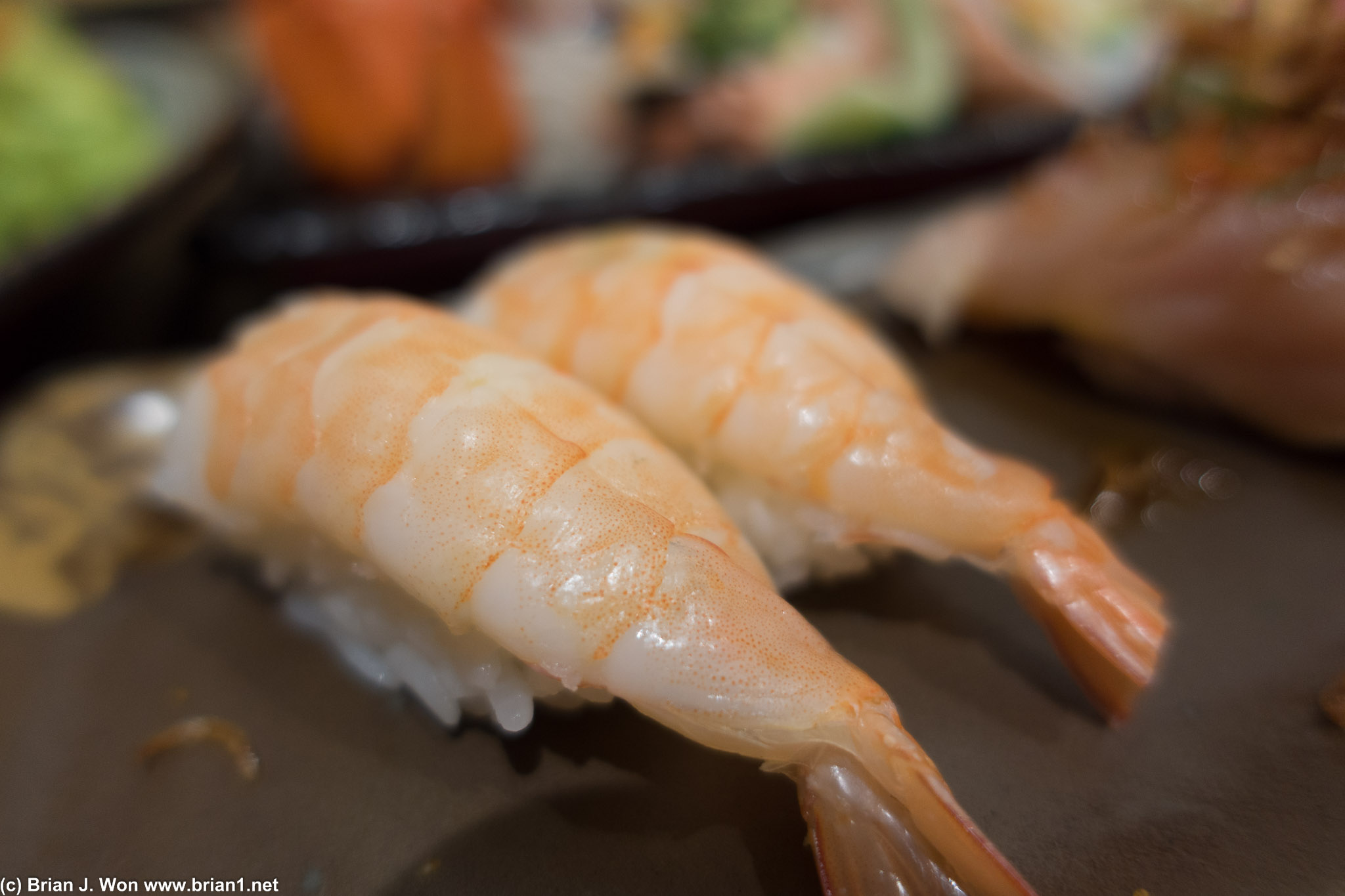 Shrimp. Quite ordinary.