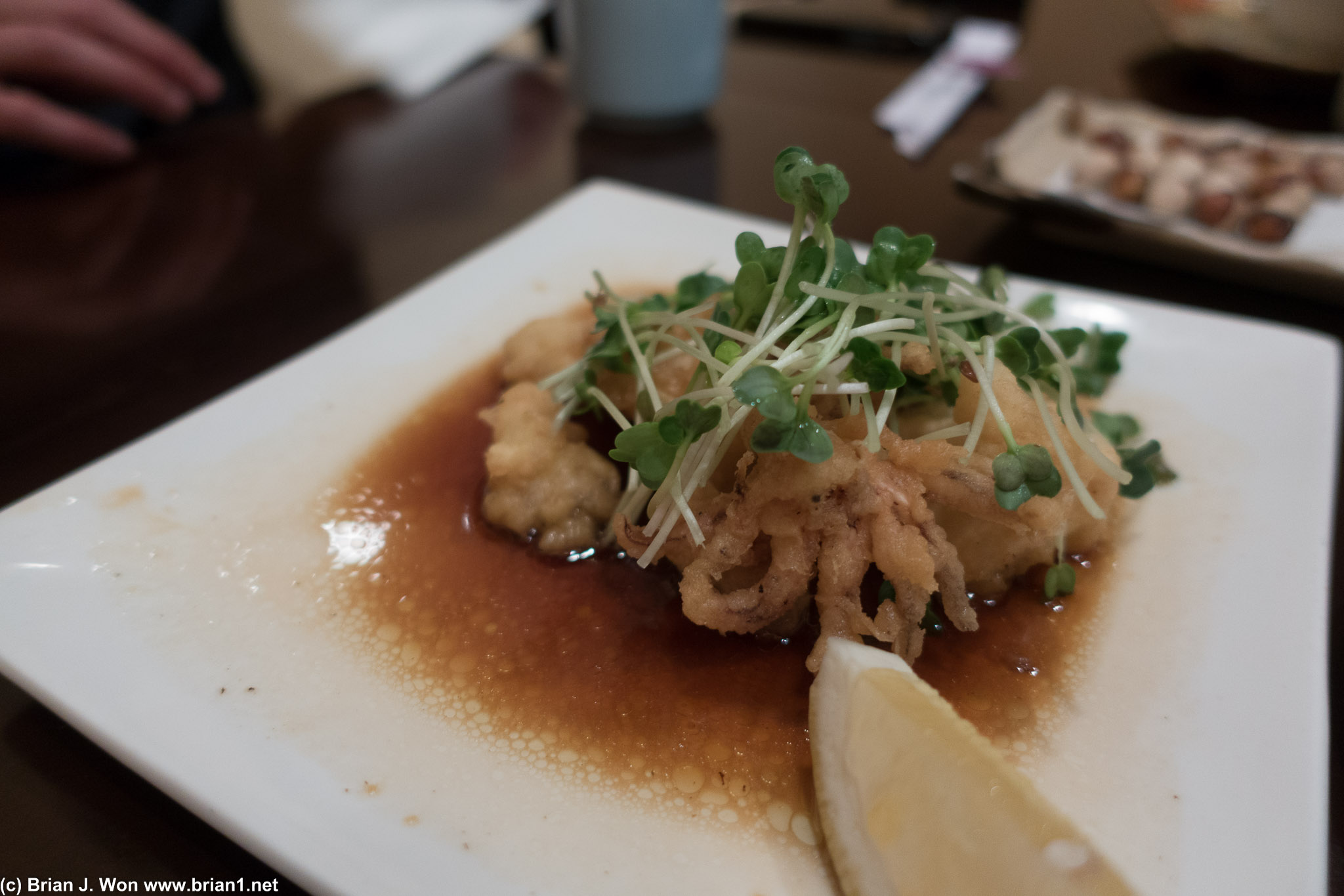 Fried calamari. Not bad.