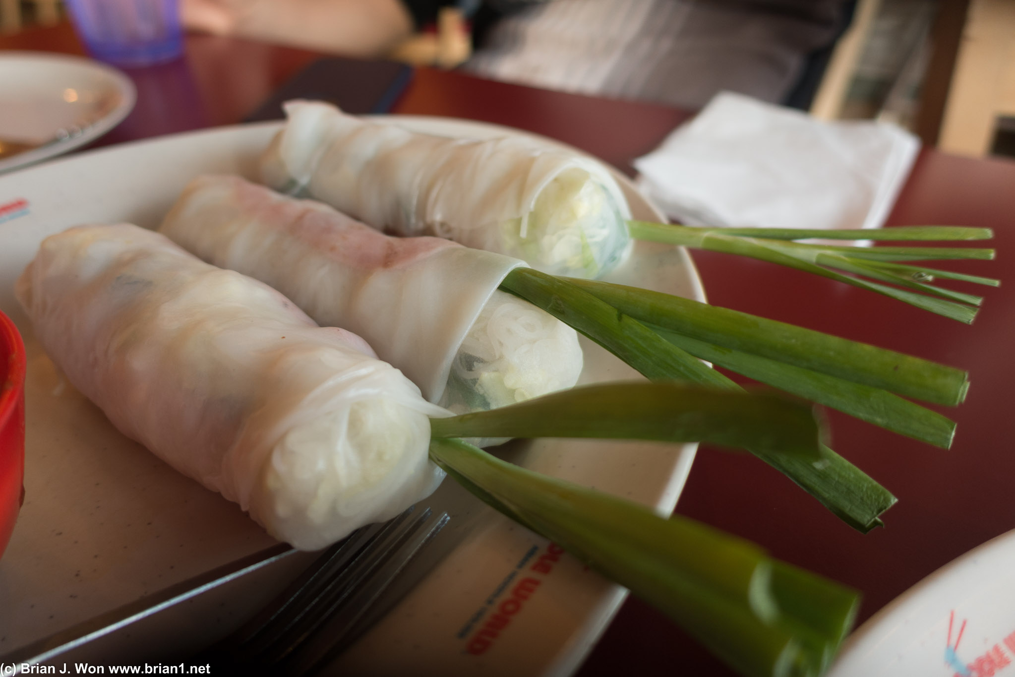 Spring rolls. Ham and shrimp inside, edible enough.