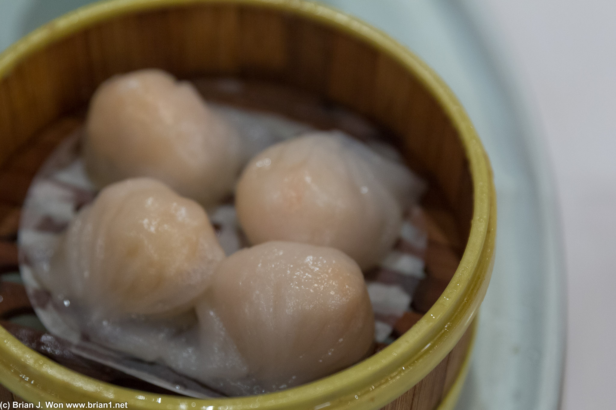Har gow. Folds not quite distinct enough and skin not quite clear enough, but taste wasn't bad.