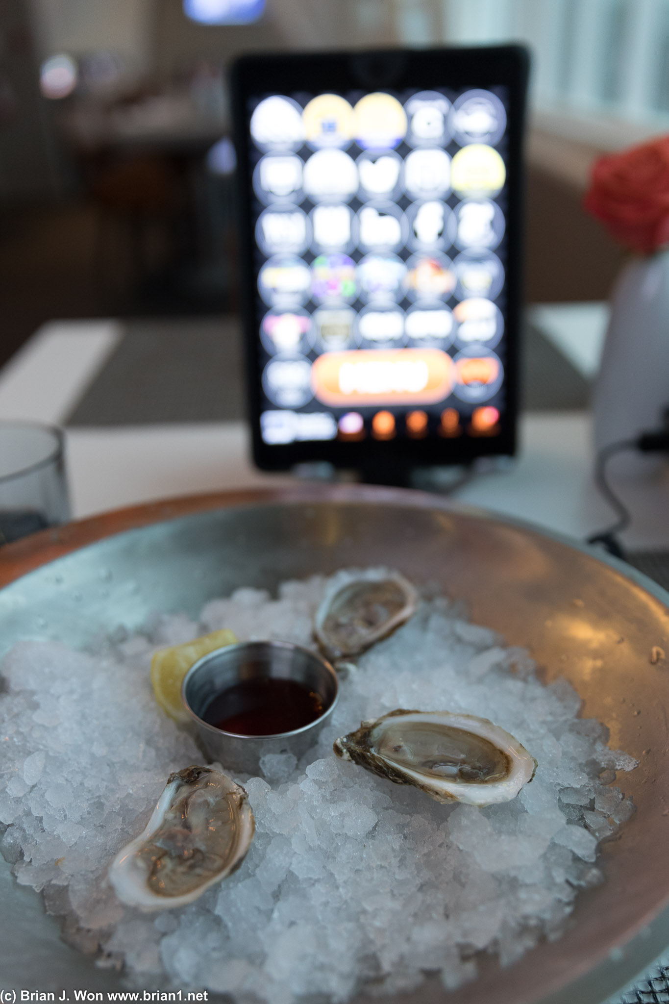 Tiny oysters, dwarfed by the iPads everywhere at EWR's restaurants.