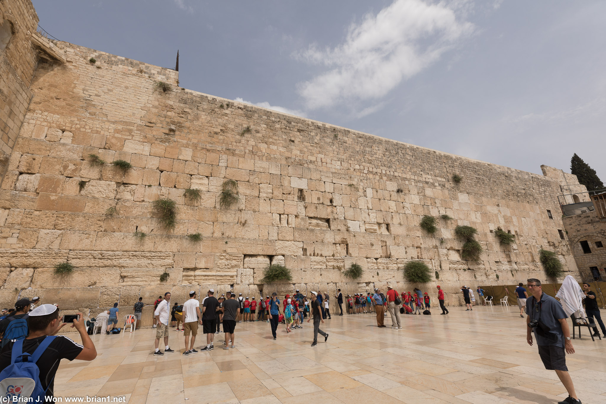 Men's section of the Western Wall.