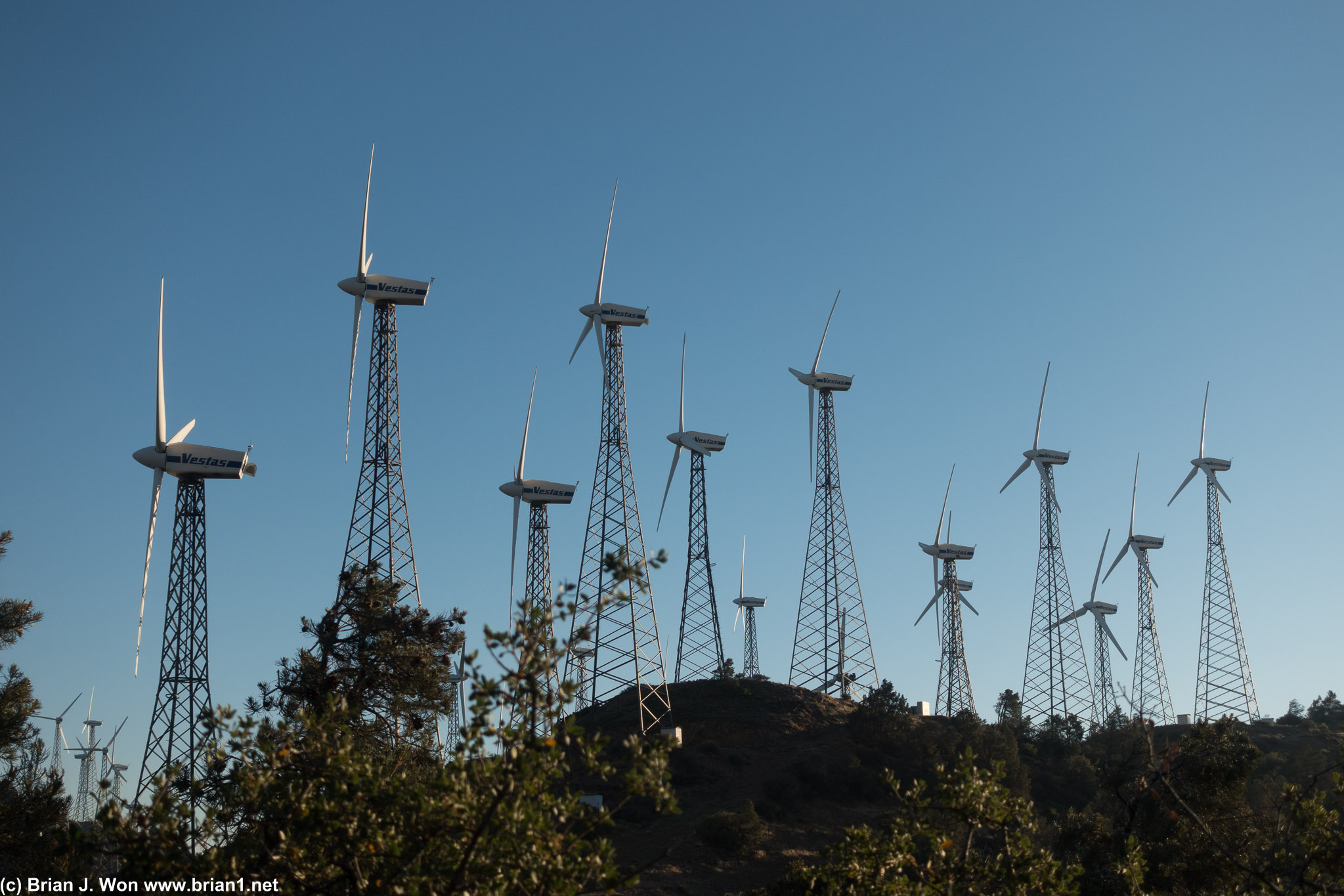 Tons of Vestas Wind Systems windmills.