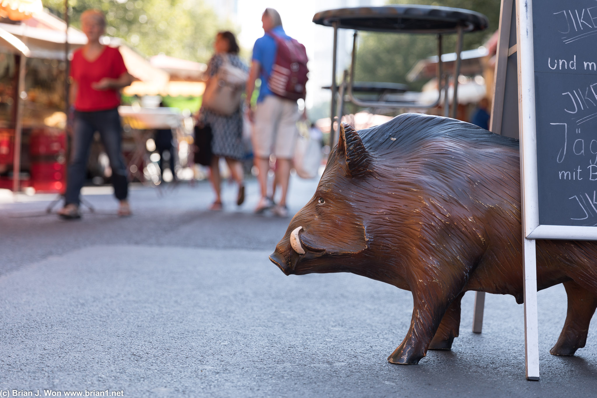 Wild boar at this food cart!