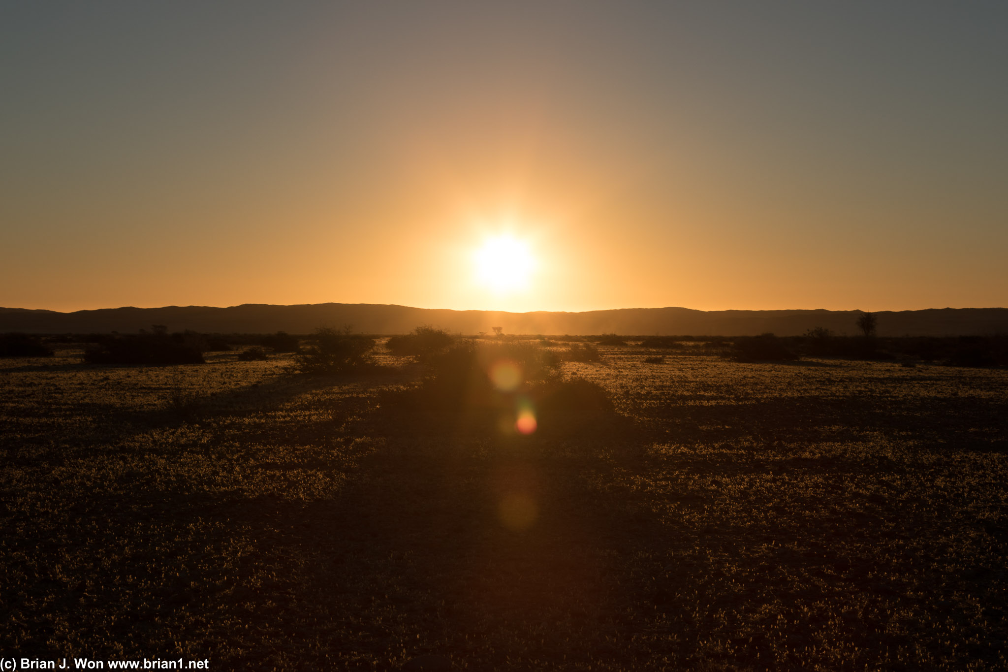 Desert sunset.
