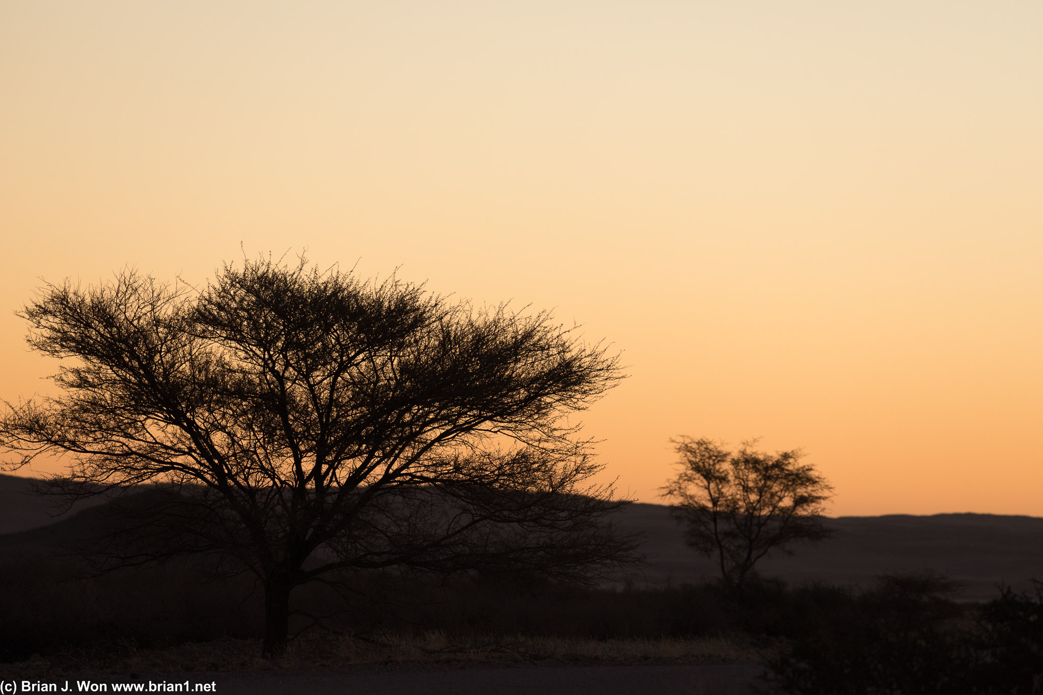 Sunset in the Namib desert.