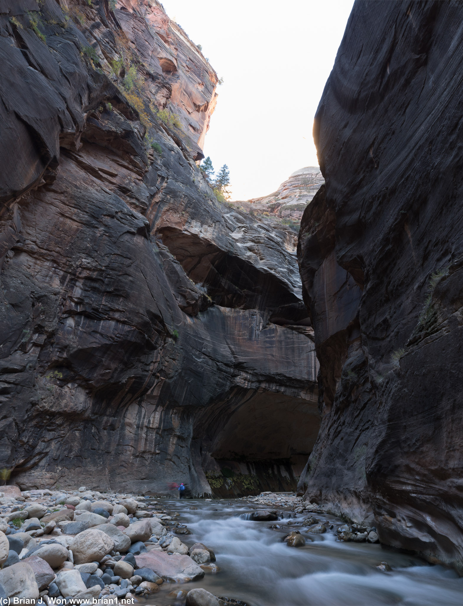 Dark weeping rock marks much of The Narrows.