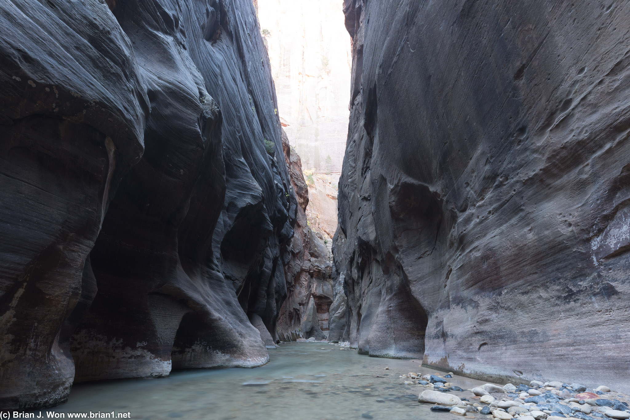 Looking south from Orderville Canyon.