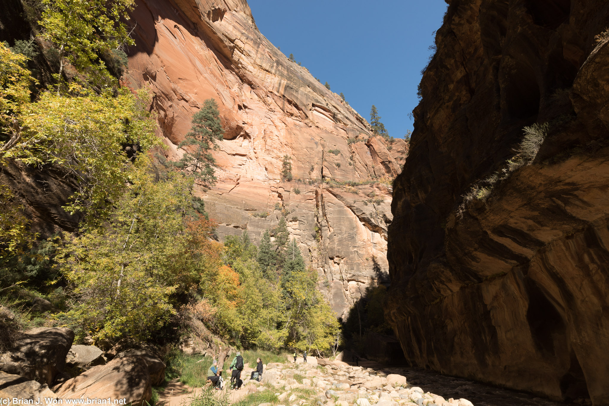 Severe undercutting of the rock face... there's more further up The Narrows.