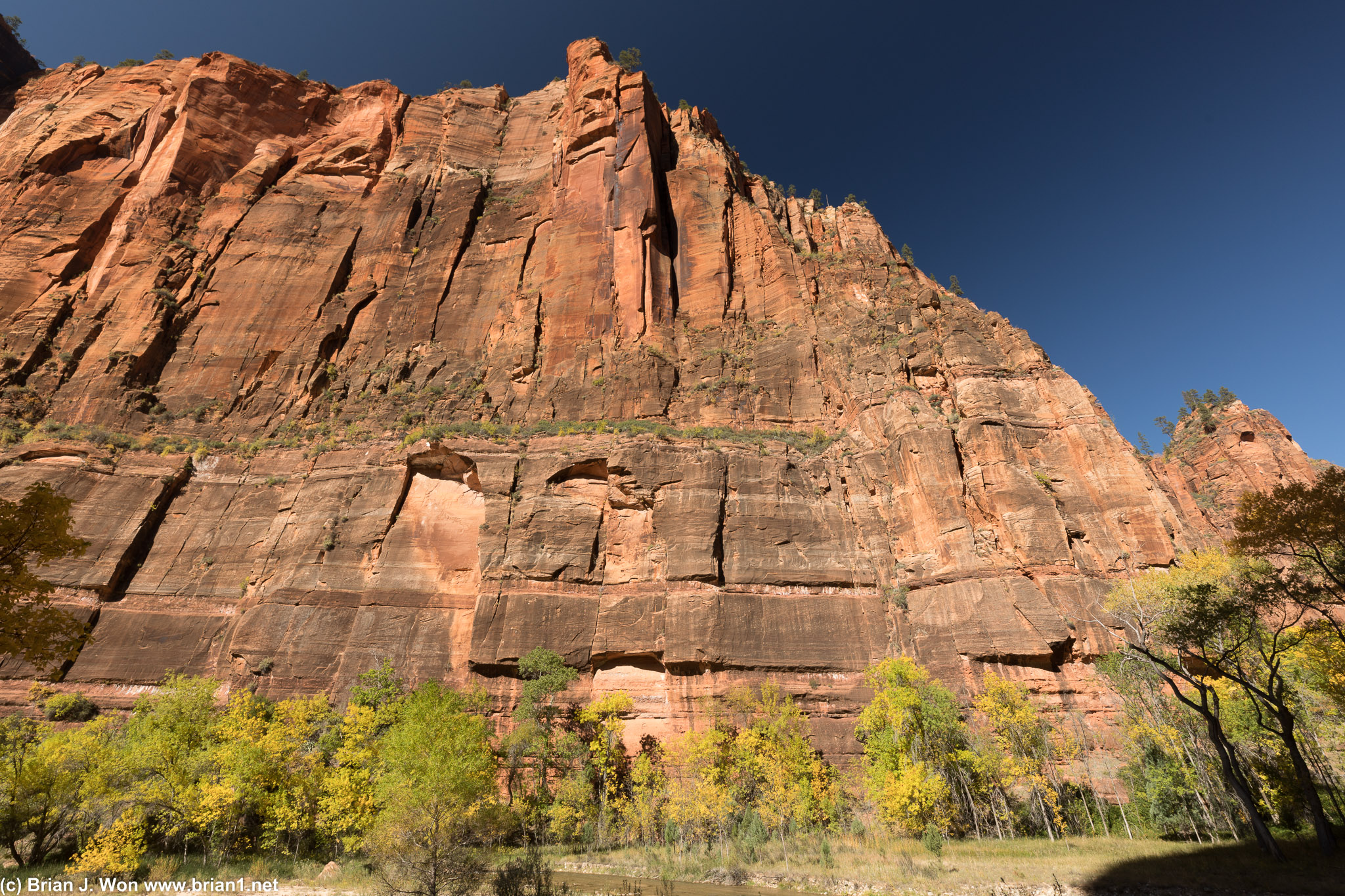 Massive formations compose the Temple of Sinawava.