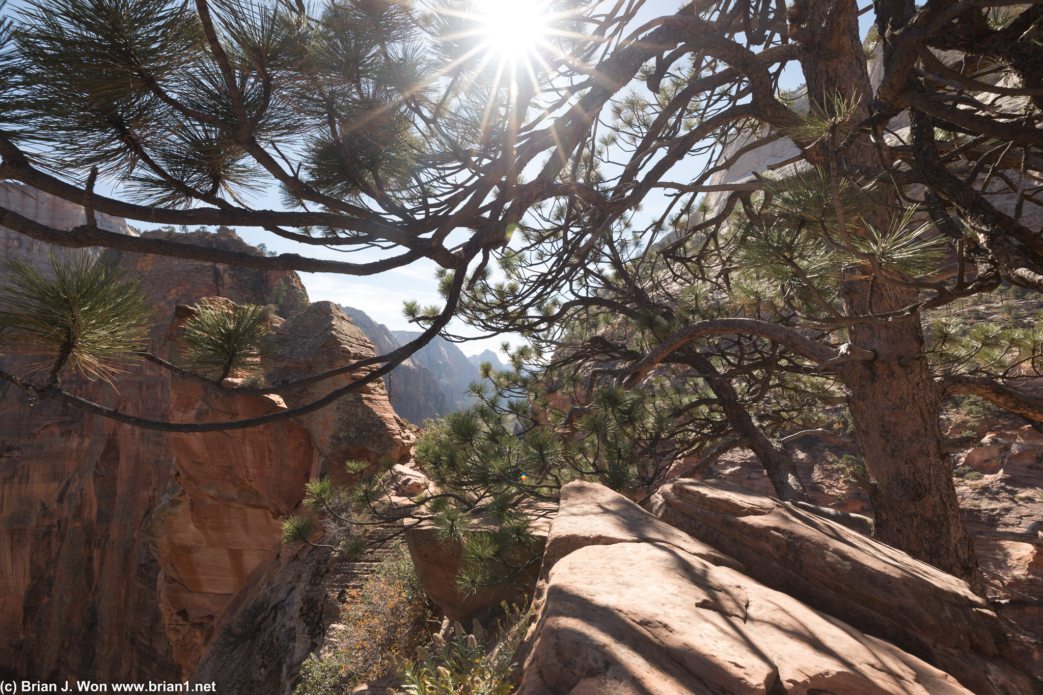 Angels Landing is actually a little further ahead. DOH!