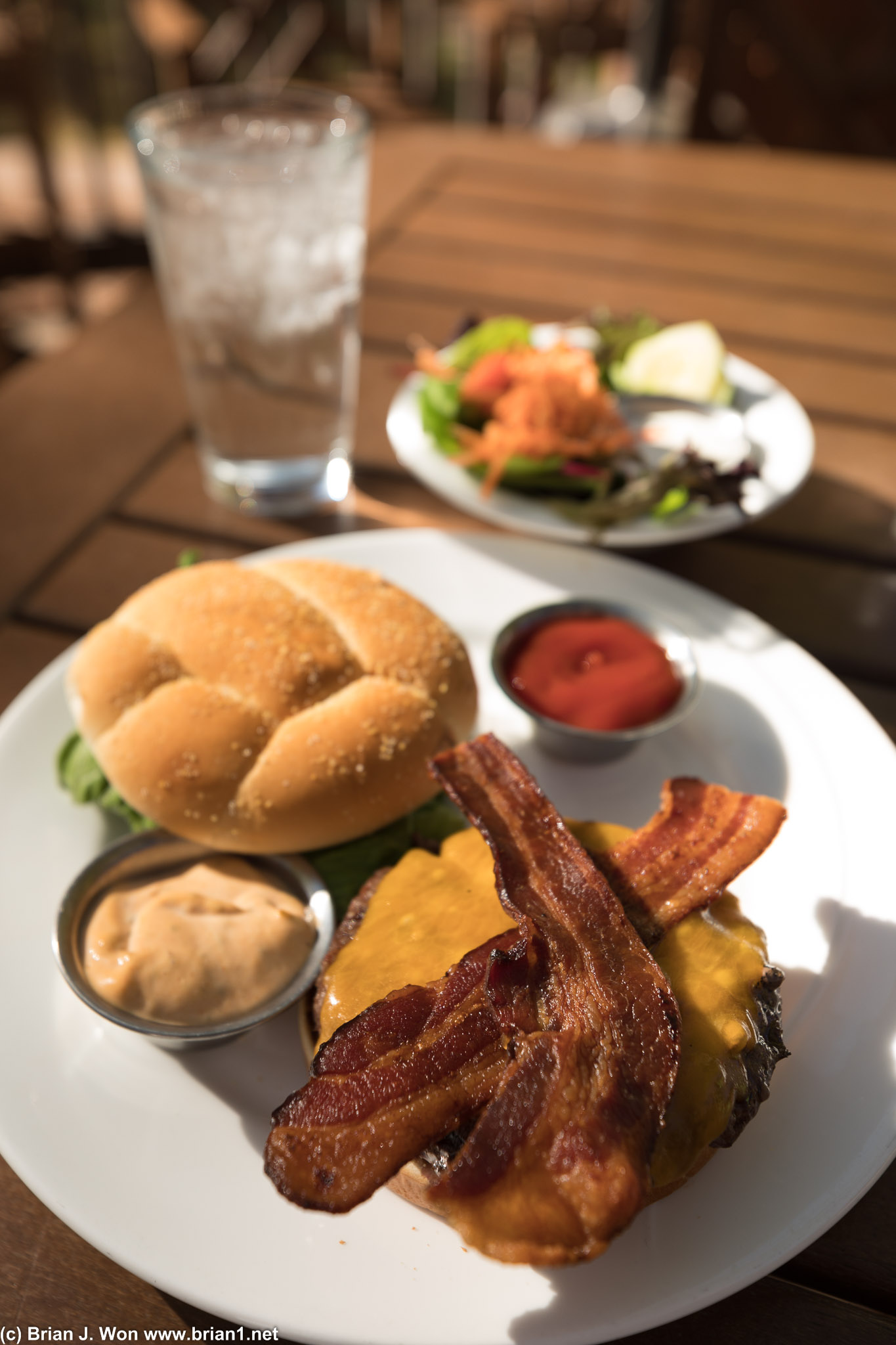 Bison burger at Zion Lodge.