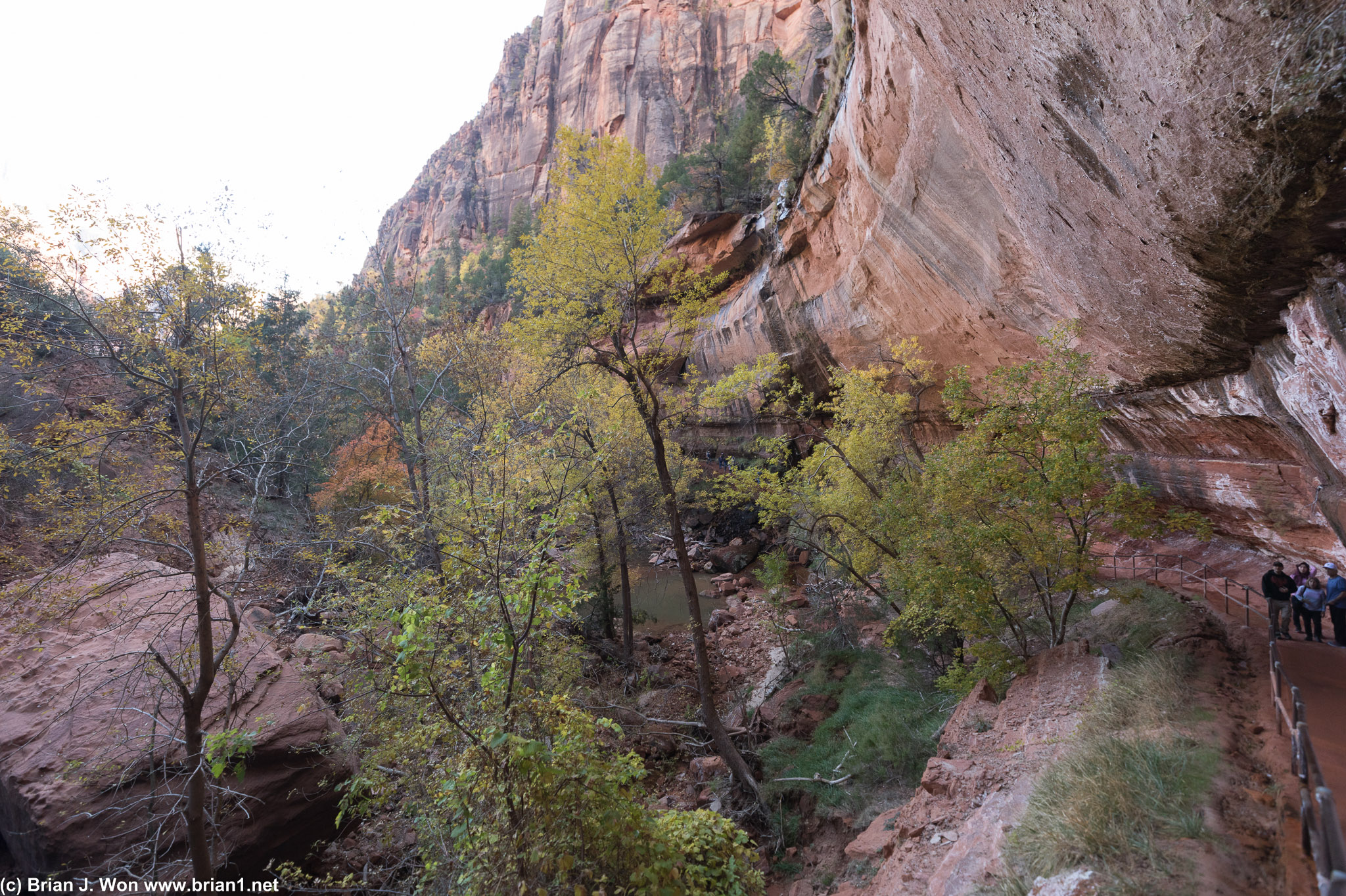 Red rock and signs of fall just beginning to appear.