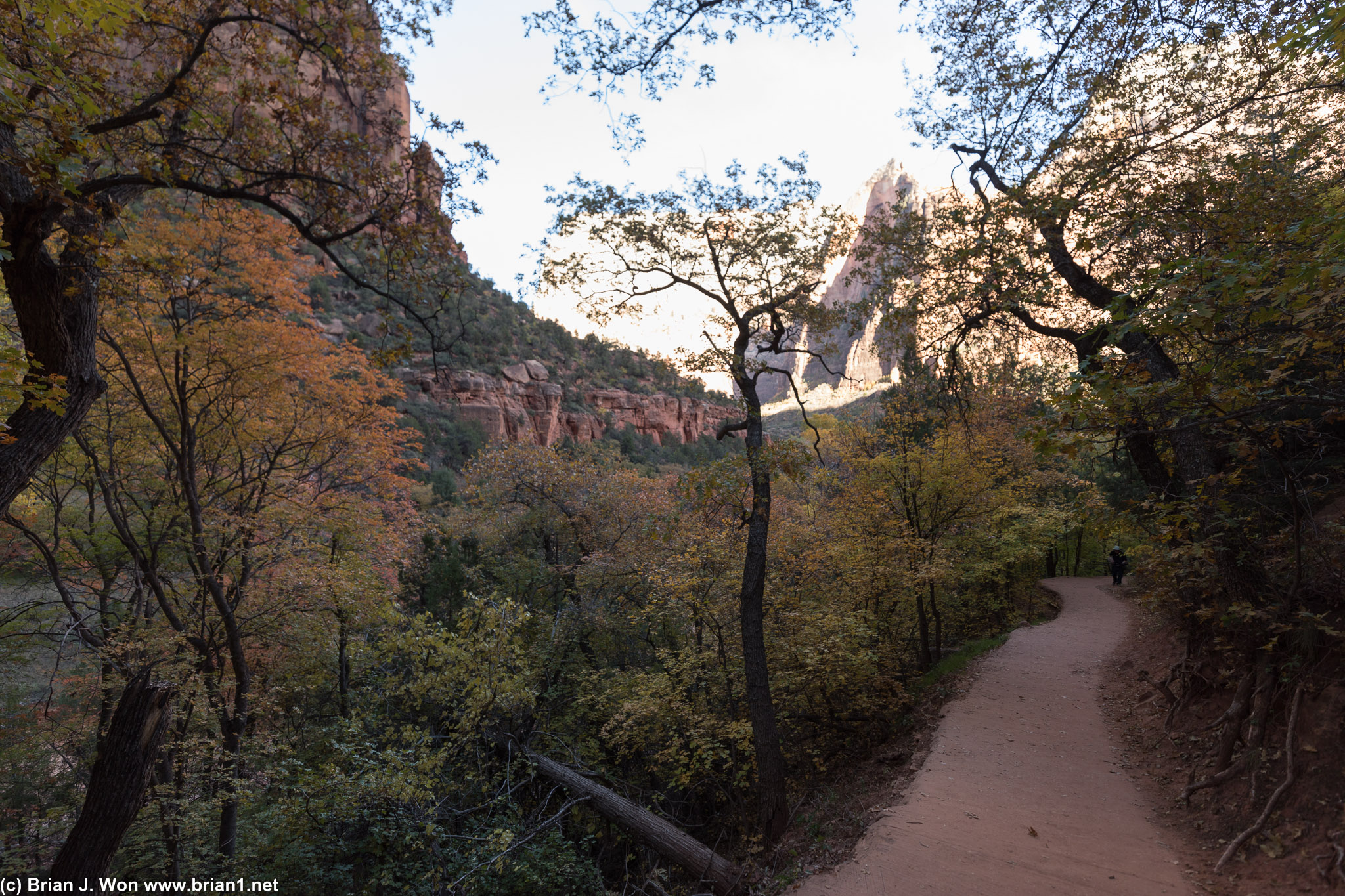 Fall colors will be much stronger in a few days.